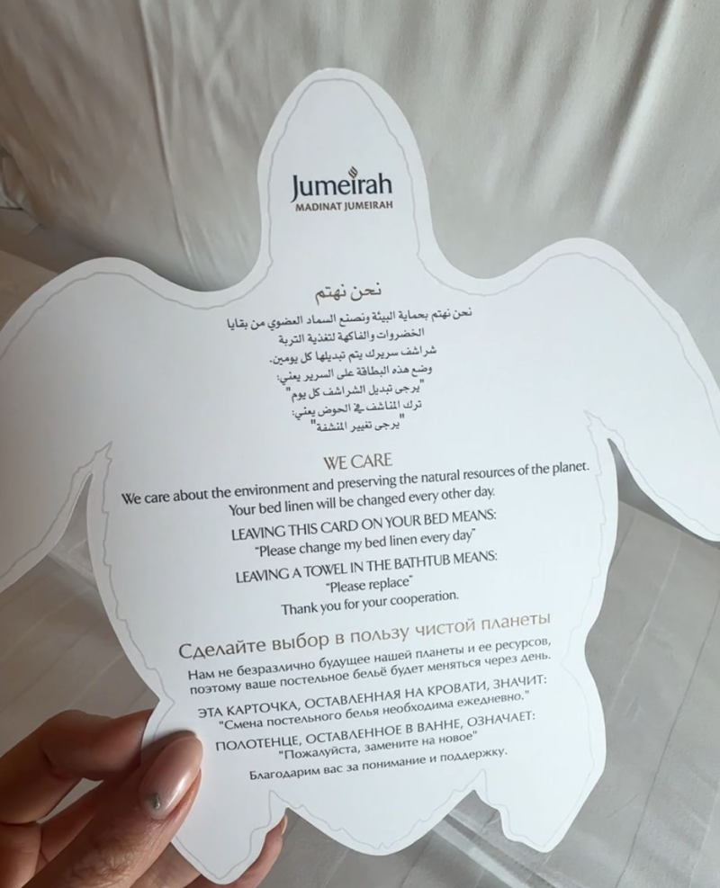 Jumeirah Al Naseem Turtle