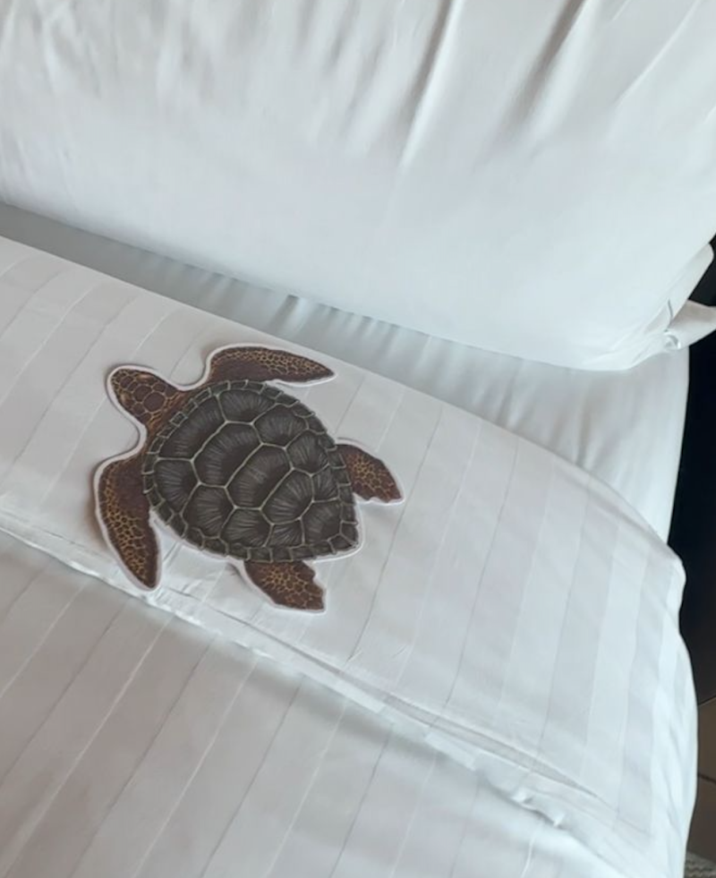 Jumeirah Al Naseem Turtle
