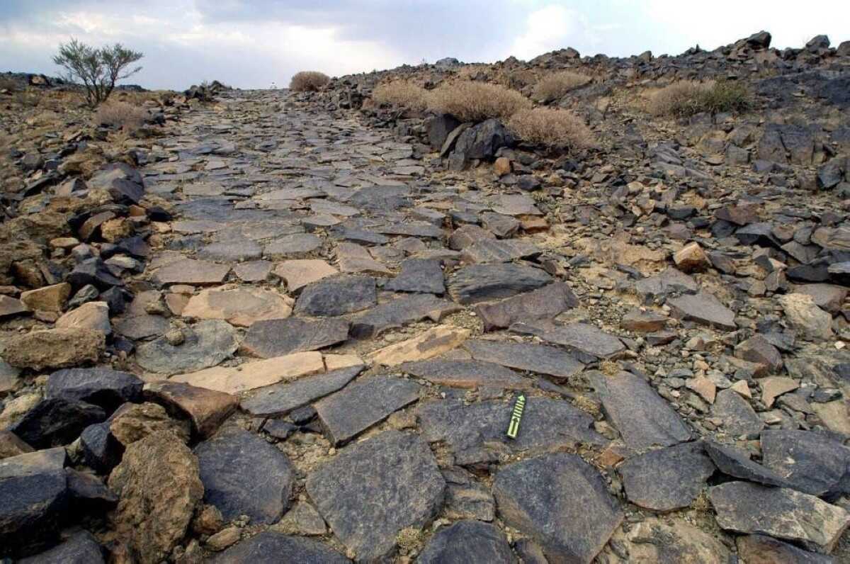 طريق الفيل 