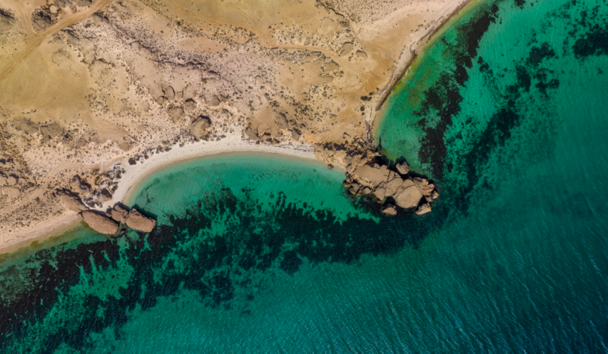 جزر فرسان 