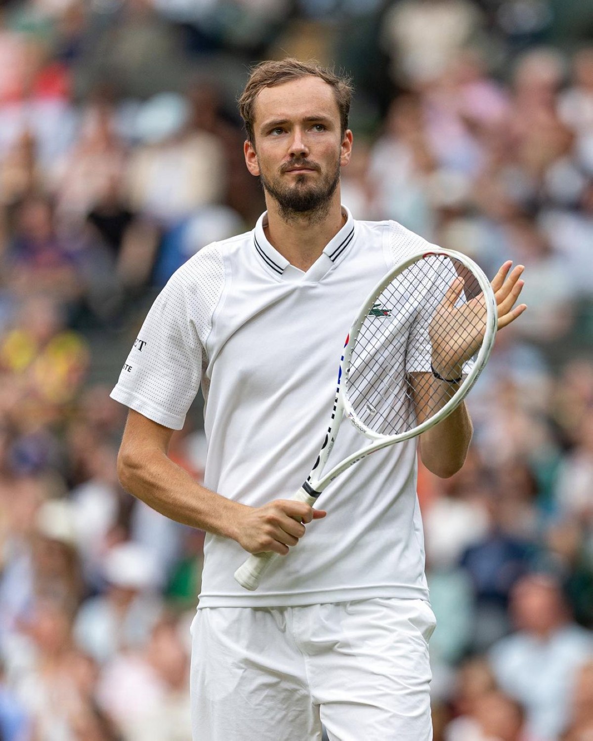 دانيل ميدفيديف