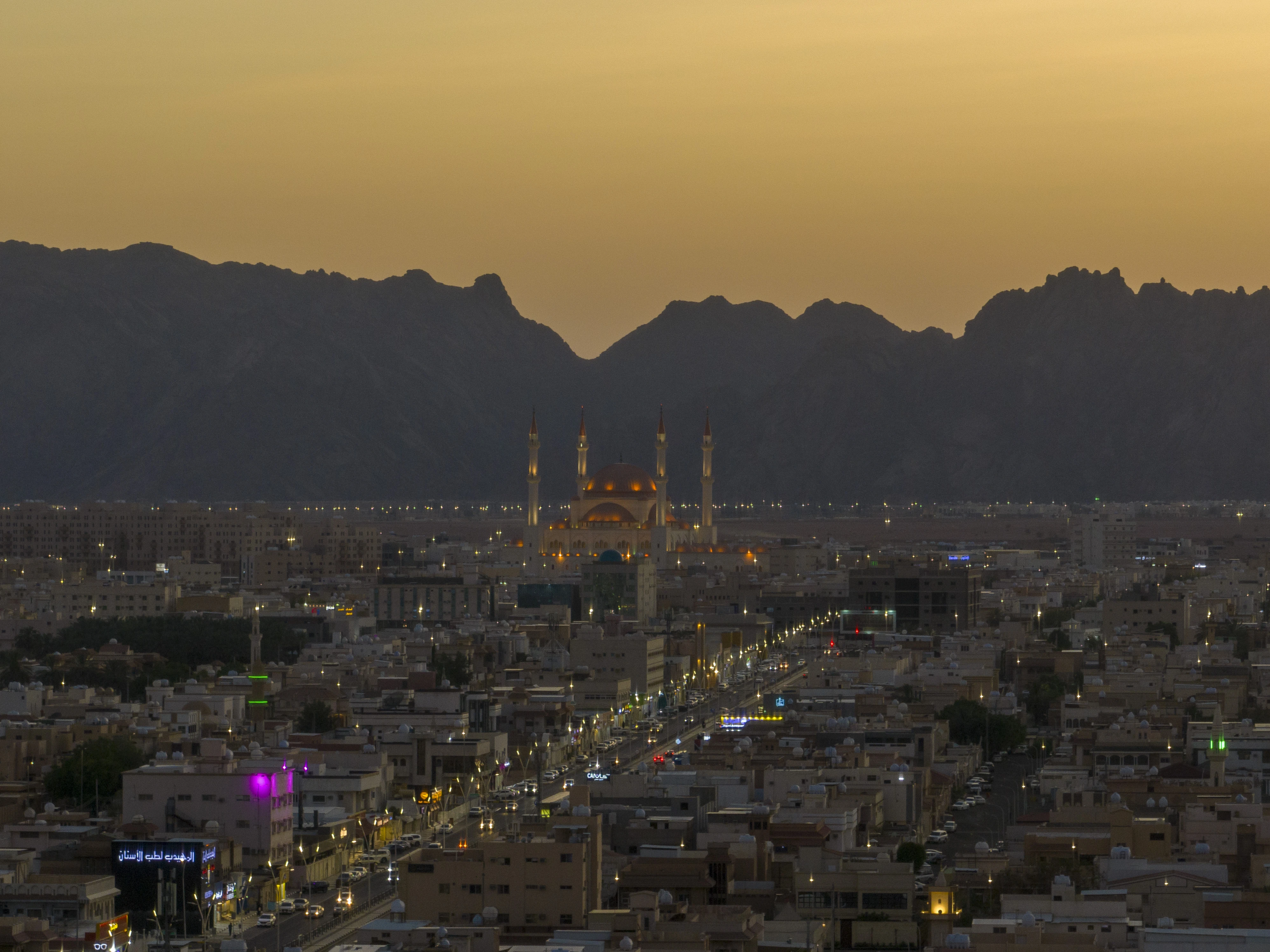 مصدر الصورة: موقع هيئة تطوير منطقة حائل 