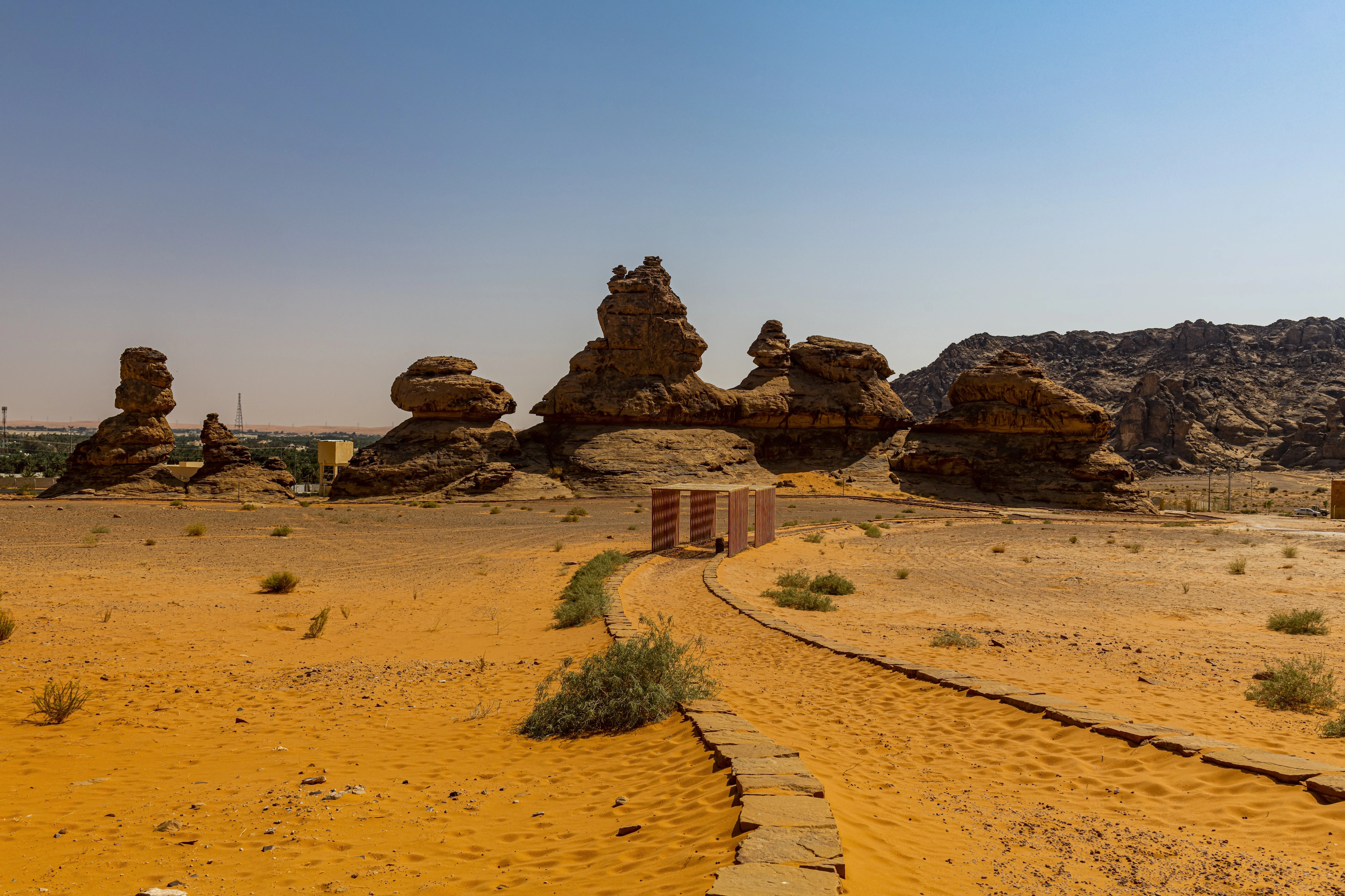 مصدر الصورة: getty Images