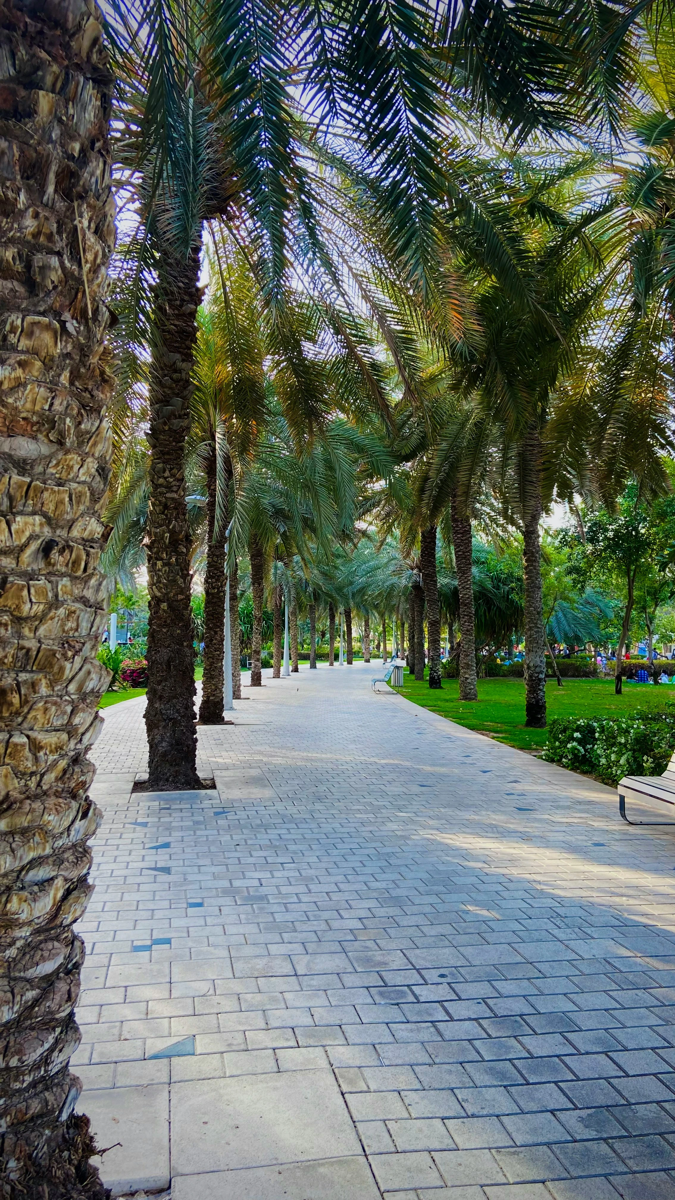 مصدر الصورة: Unsplash