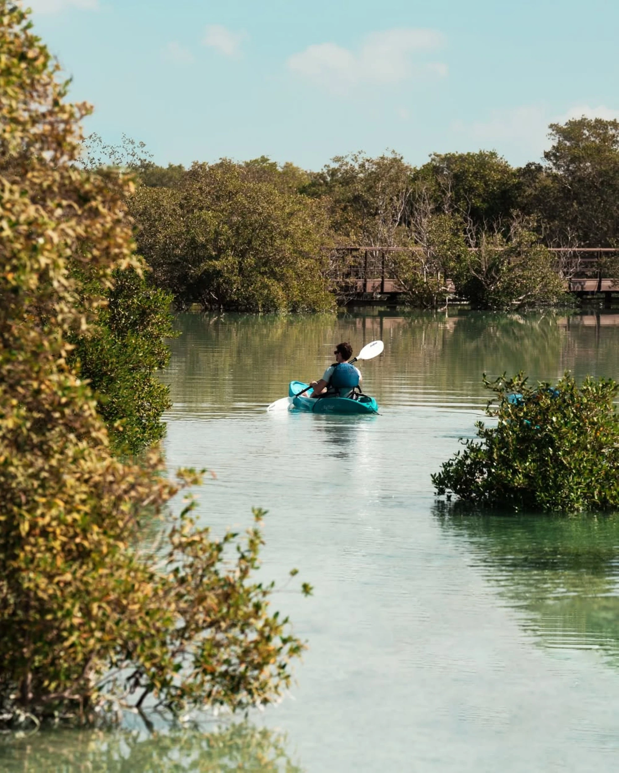 حديقة المانغروف ابوظبي، أو منتزه قرم الجبيل 