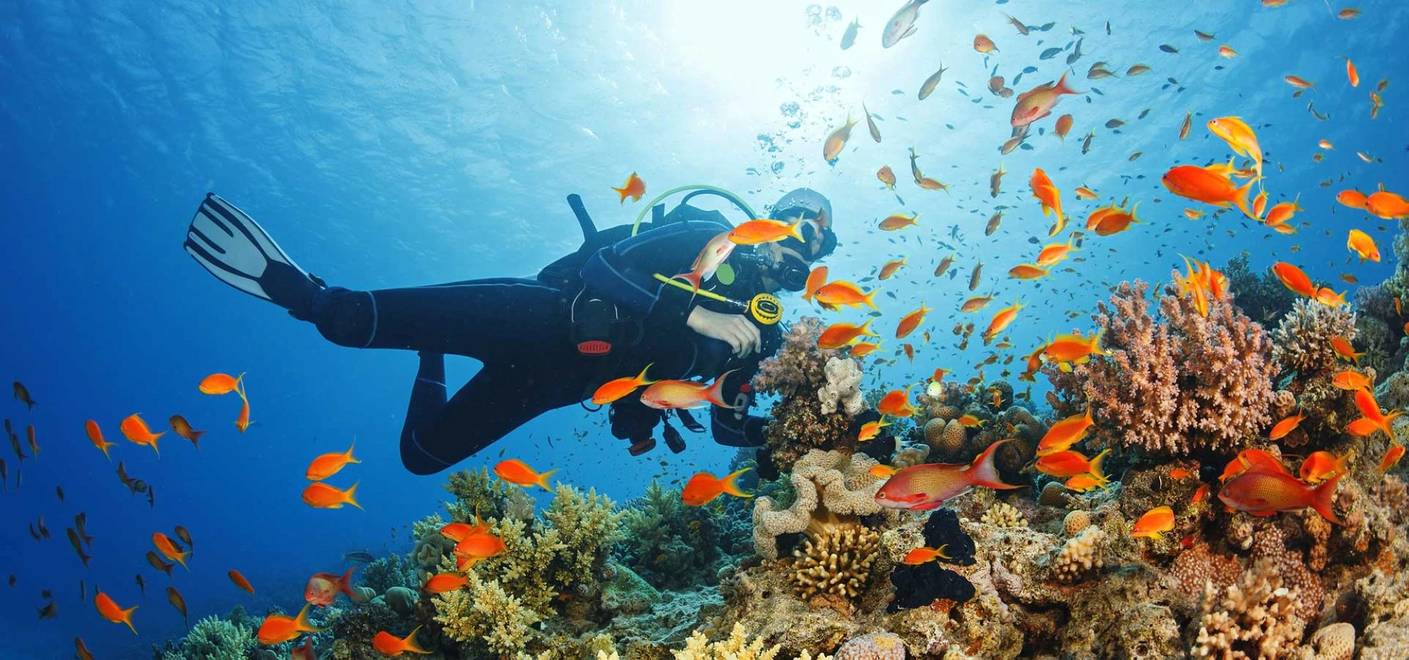 الغوص في مياه رأس الخيمة 