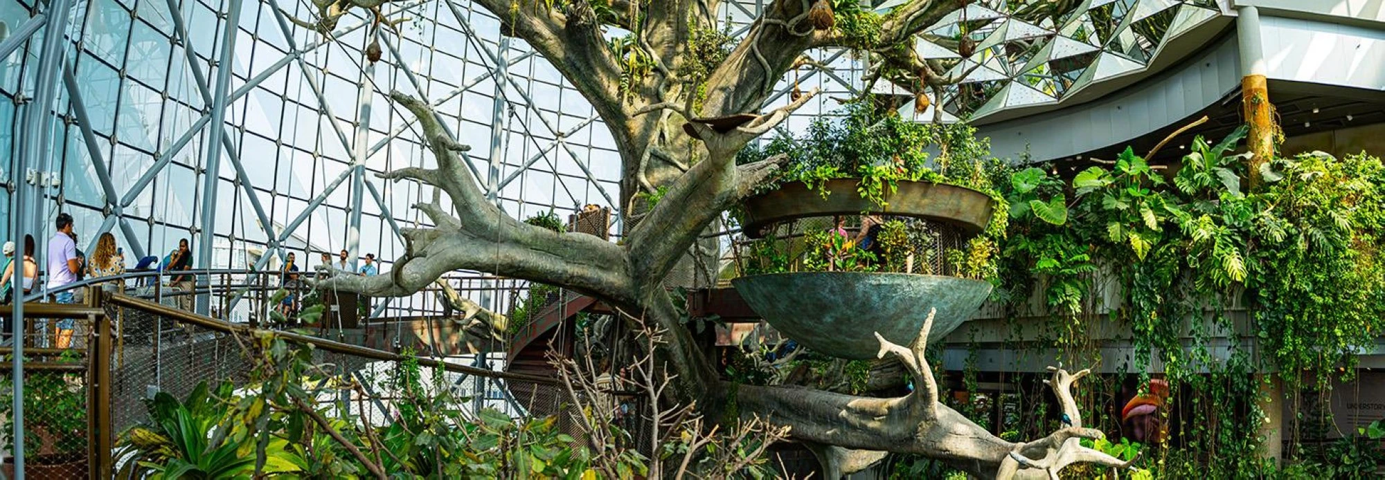 ذا جرين بلانيت، دبي 