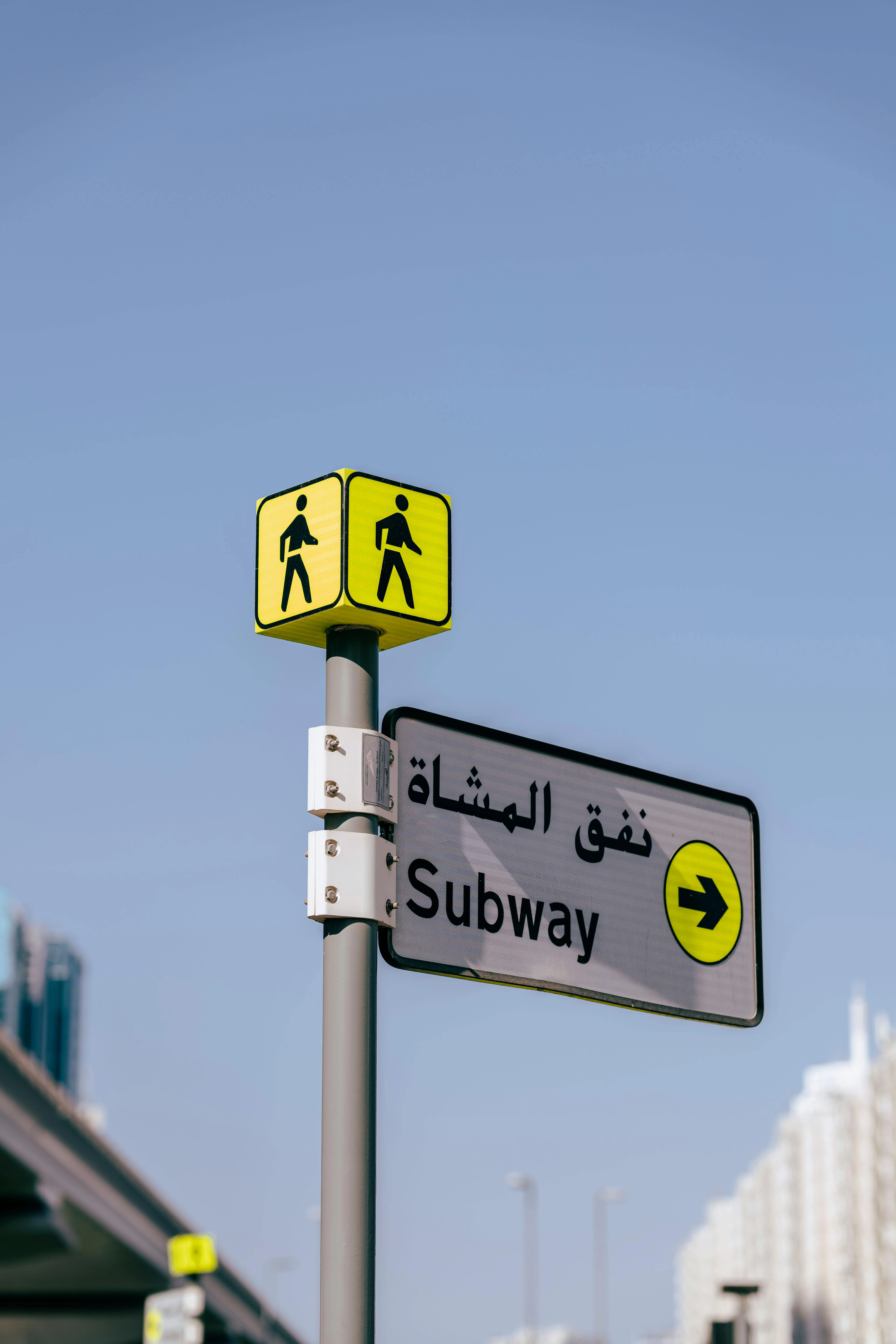 مصدر الصورة: Pexels 