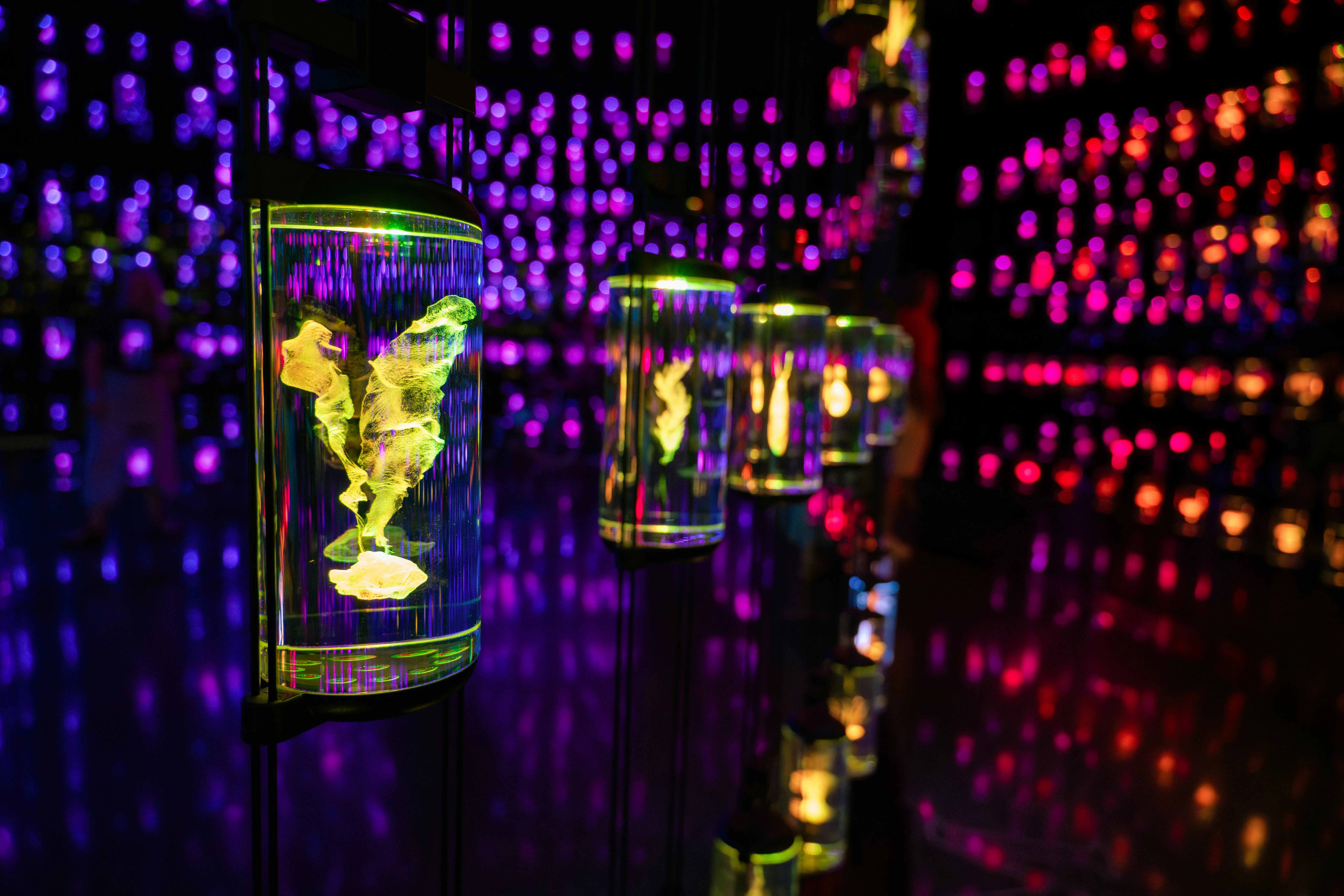 متحف المستقبل. مصدر الصورة: Unsplash