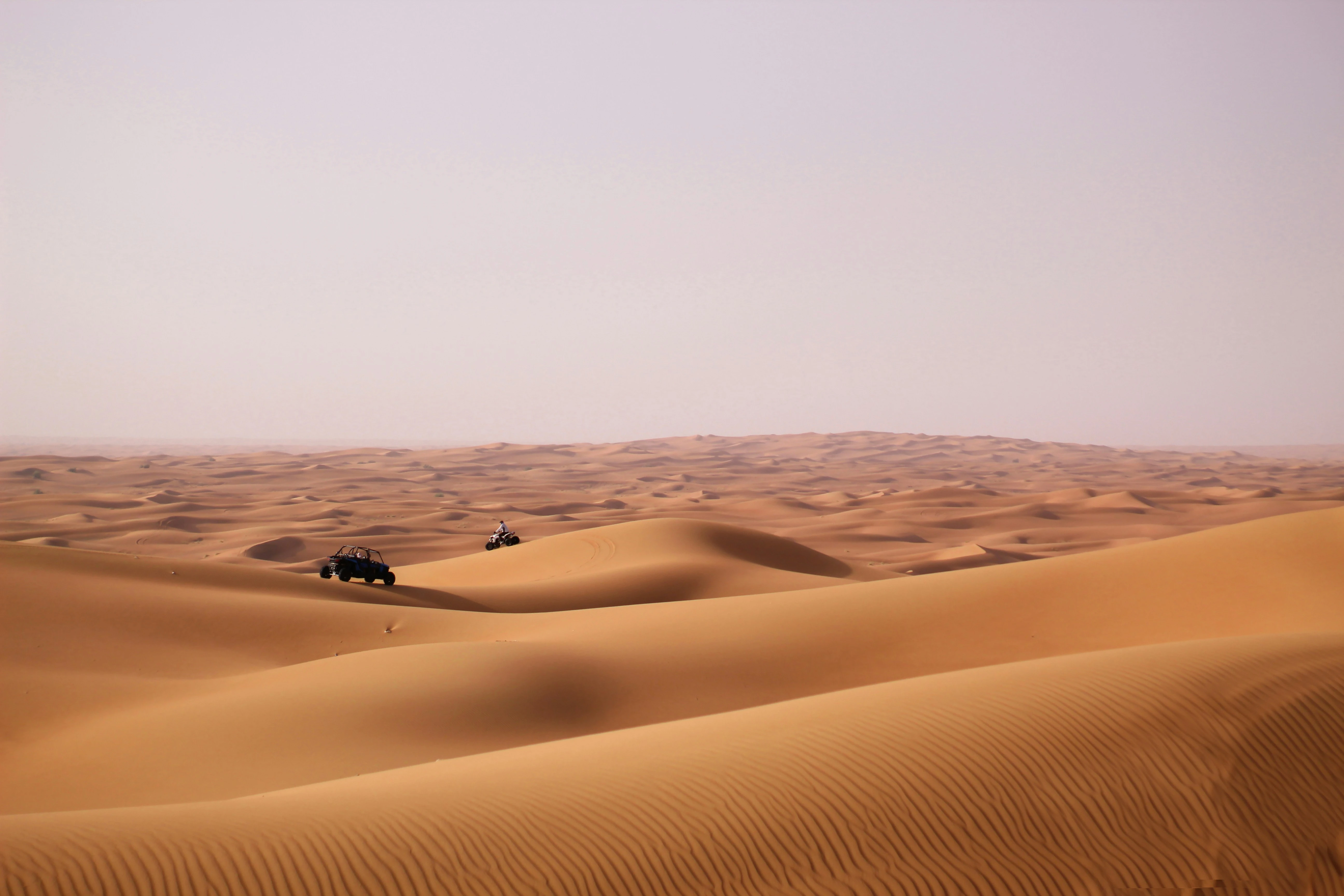 مصدر الصورة: Unsplash