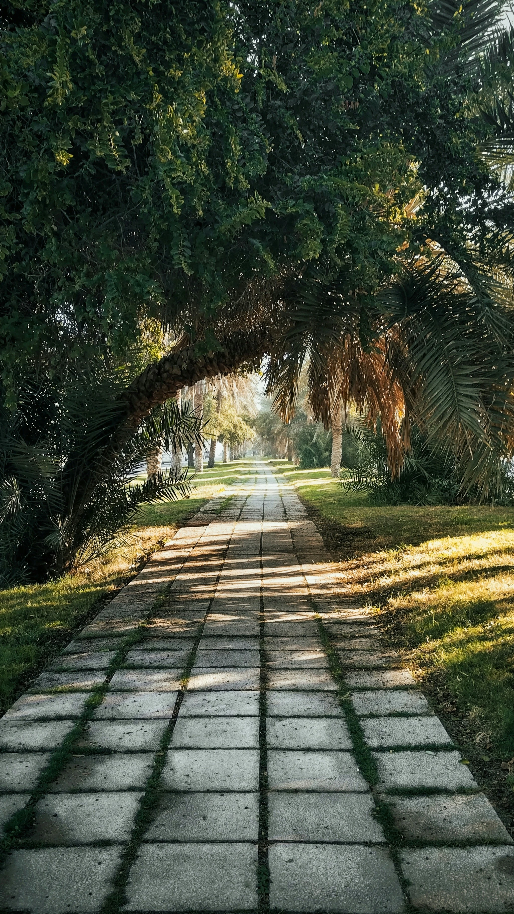 العين. مصدر الصورة: Unsplash