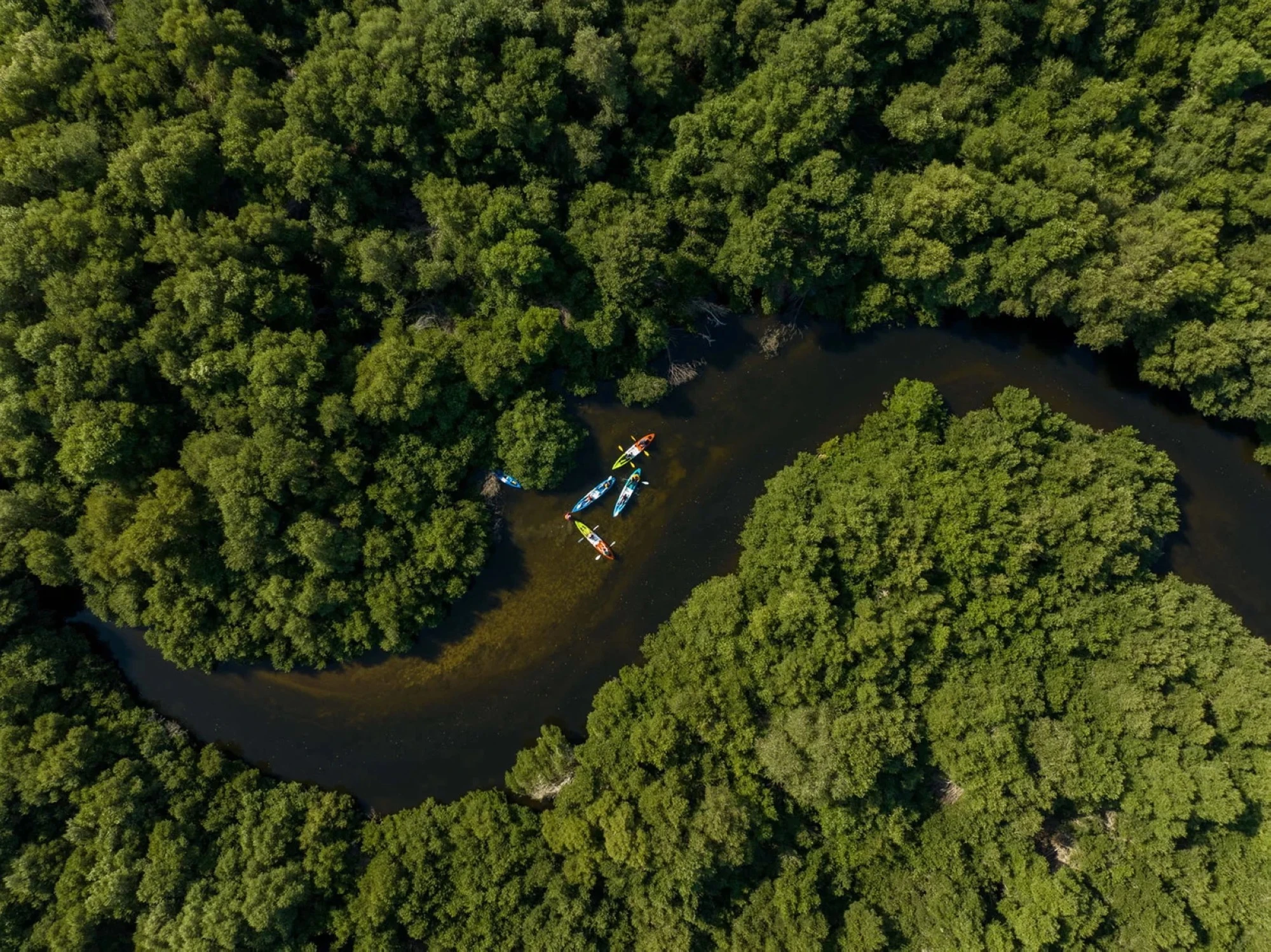 محمية الزوراء الطبيعية. مصدر الصورة: موقع Al Zorah City