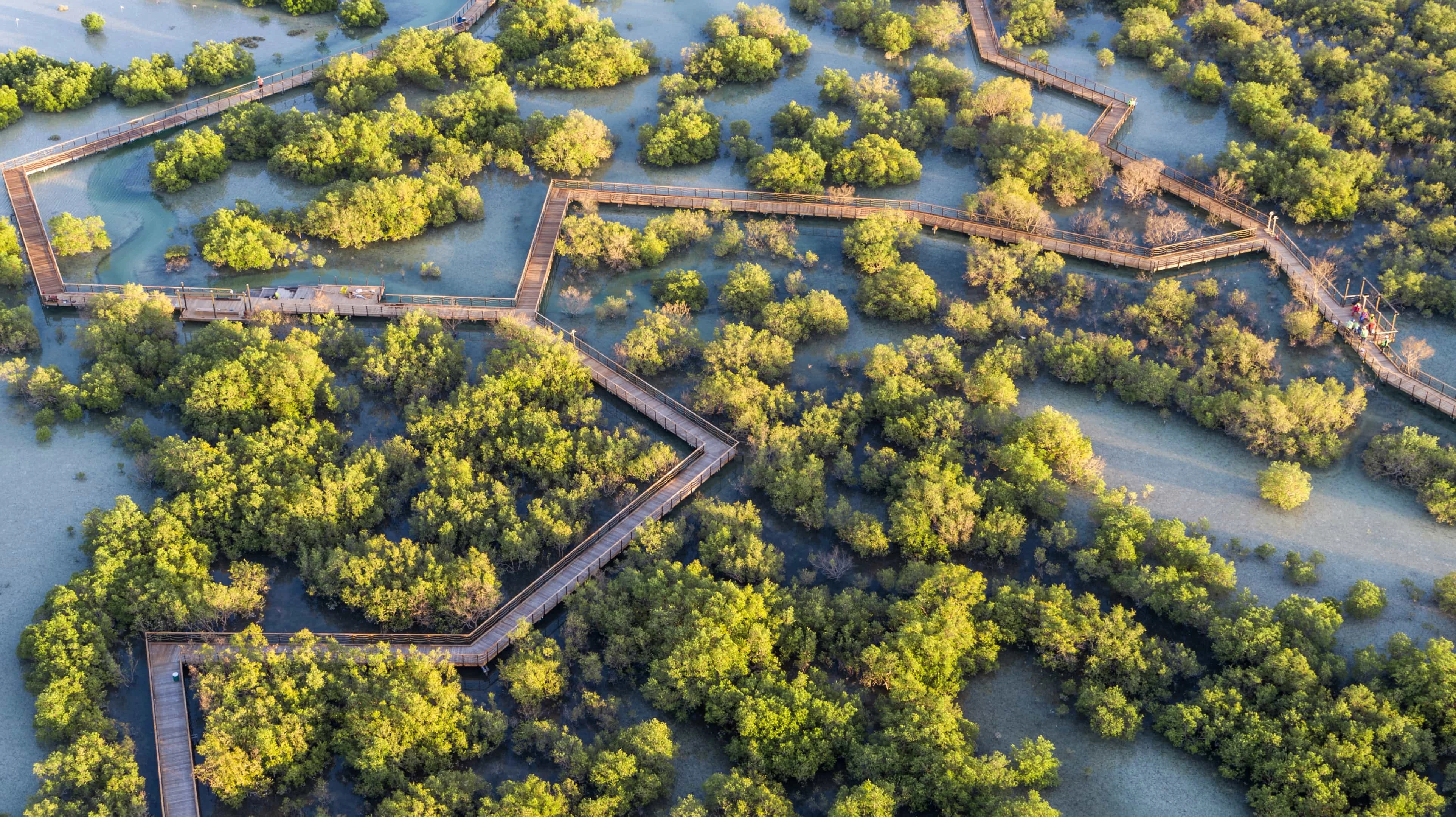 منتزه قرم الجبيل. مصدر الصورة: موقع Visit Abu Dhabi 