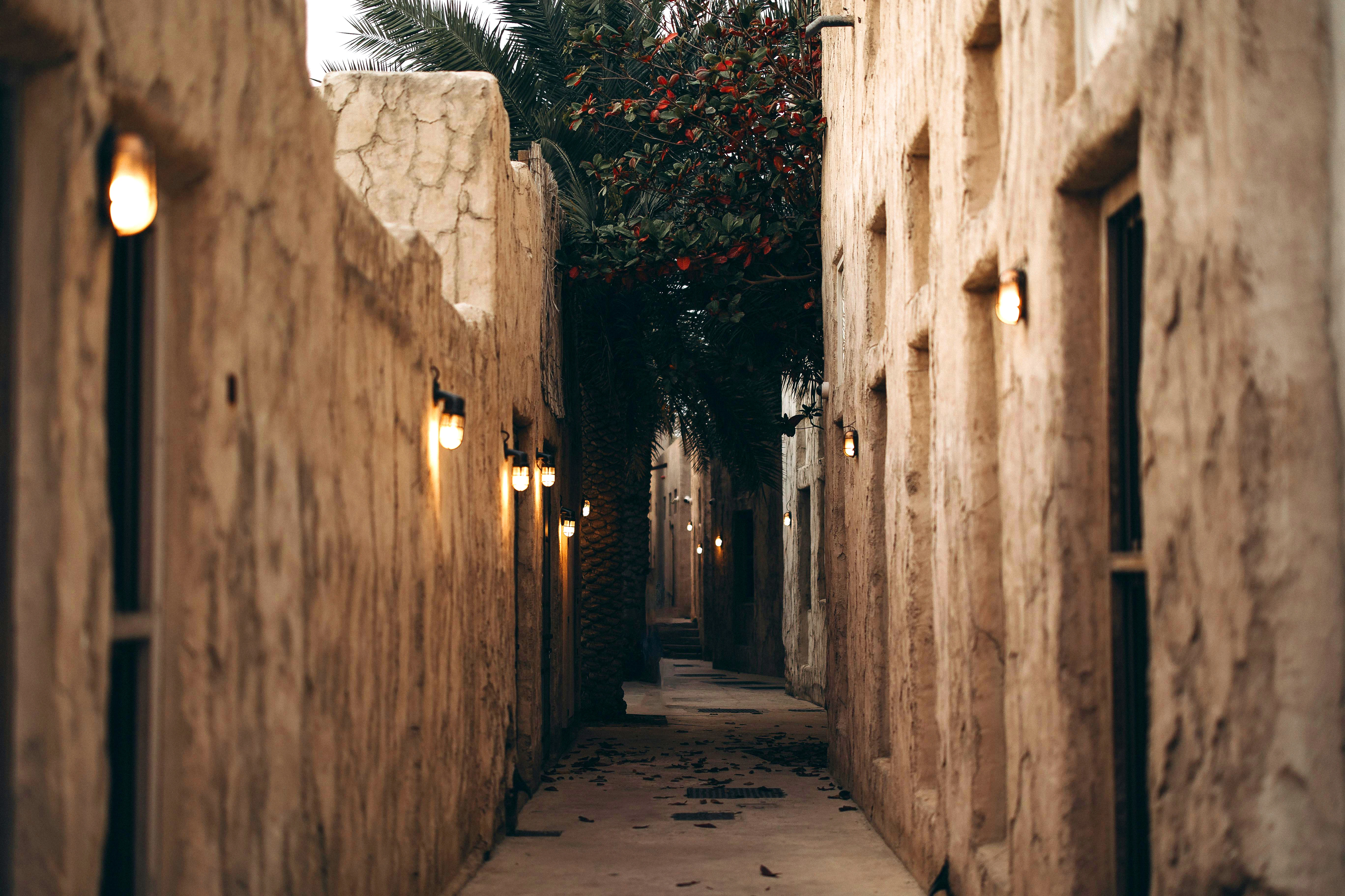 مصدر الصورة: Pexels