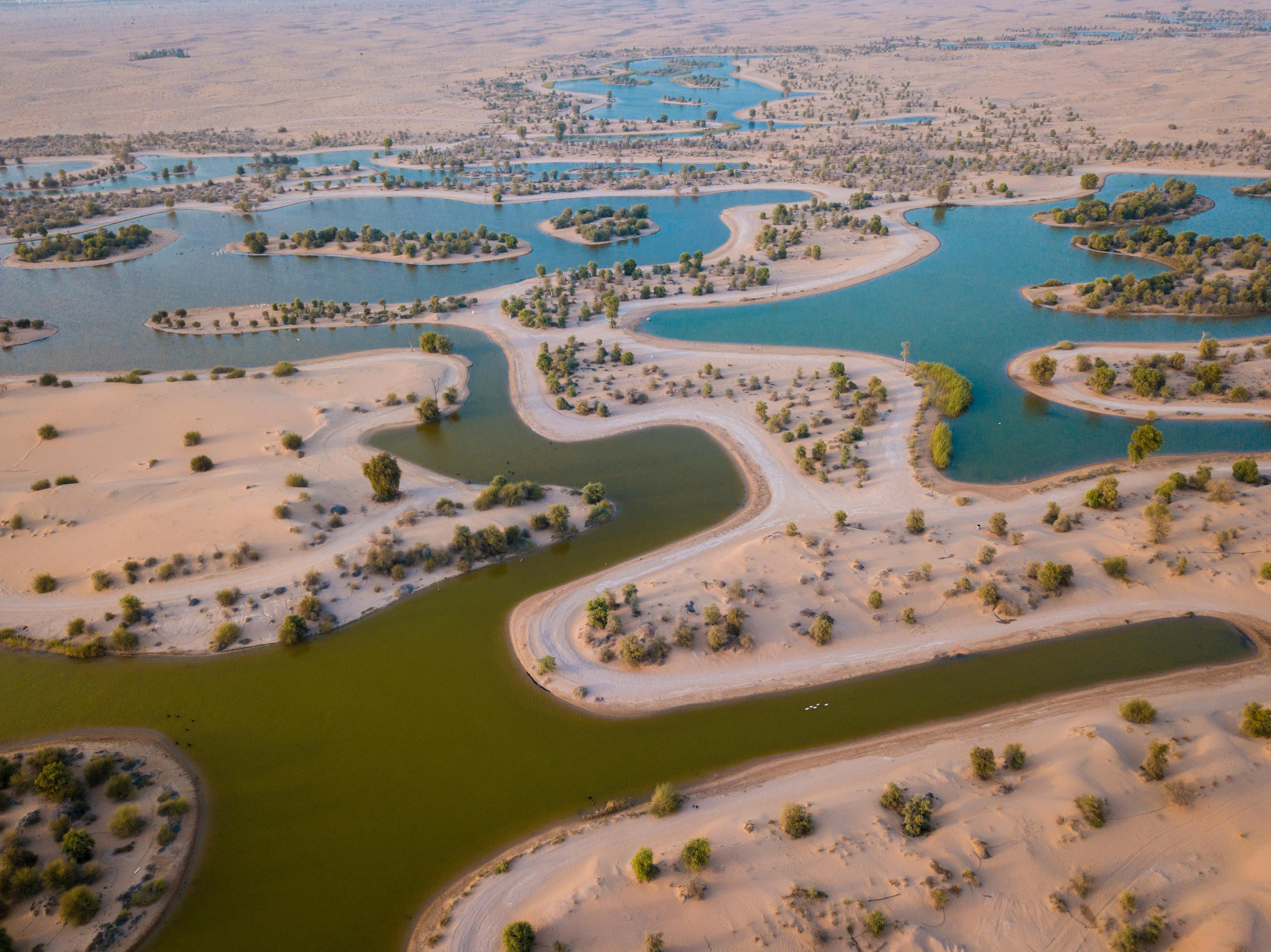 مصدر الصورة: Pexels