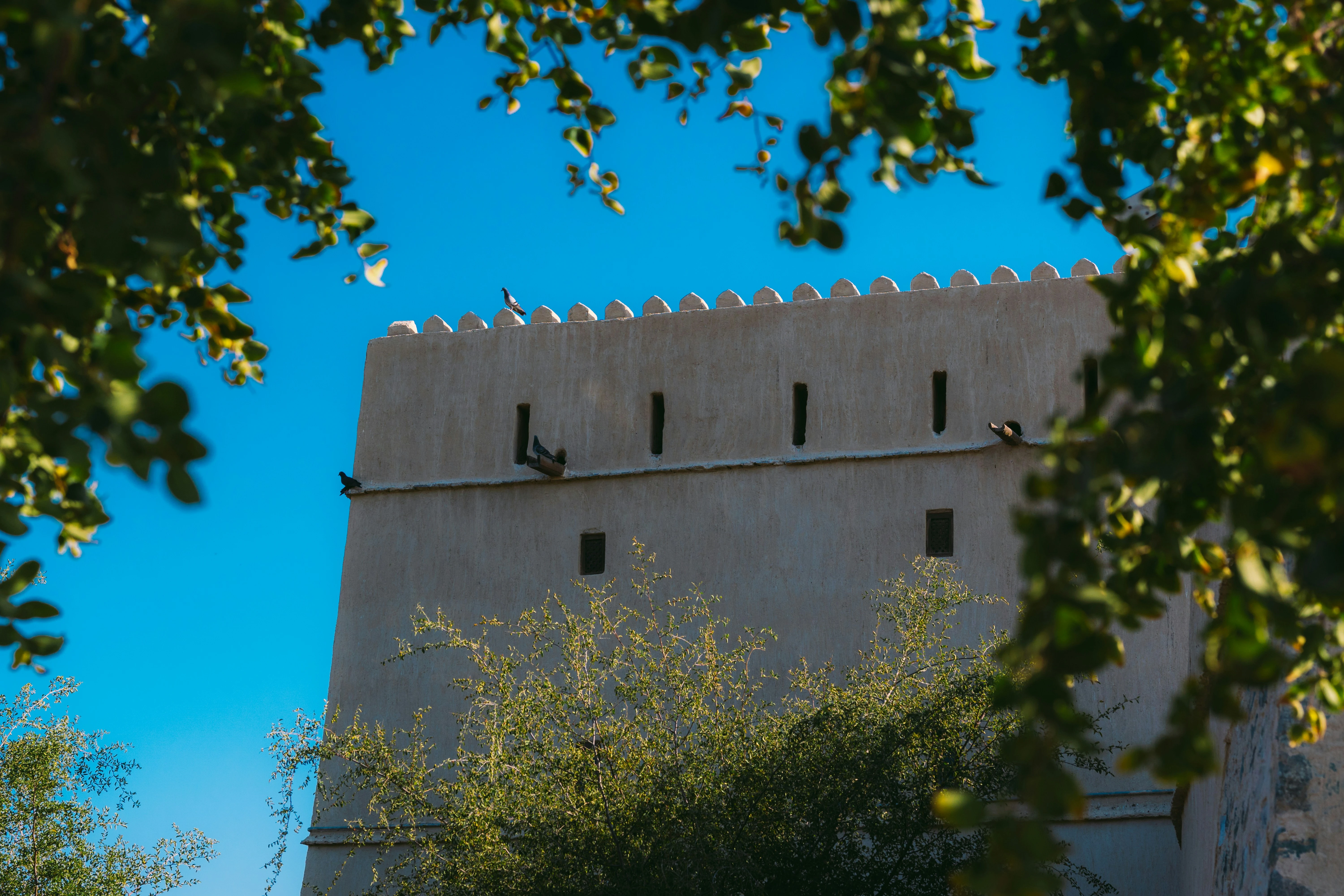 مصدر الصورة: Unsplash