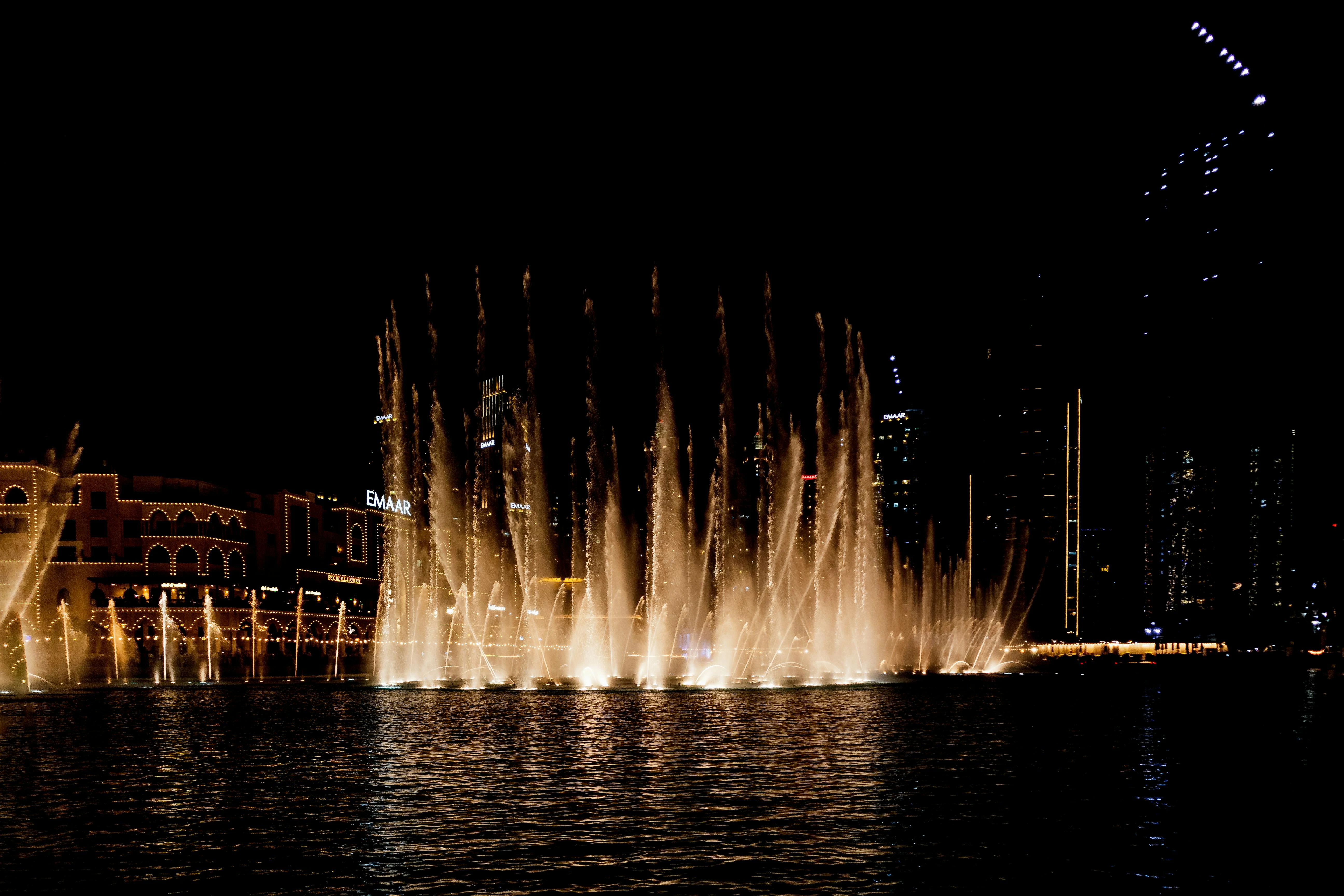 مصدر الصورة: Pexels