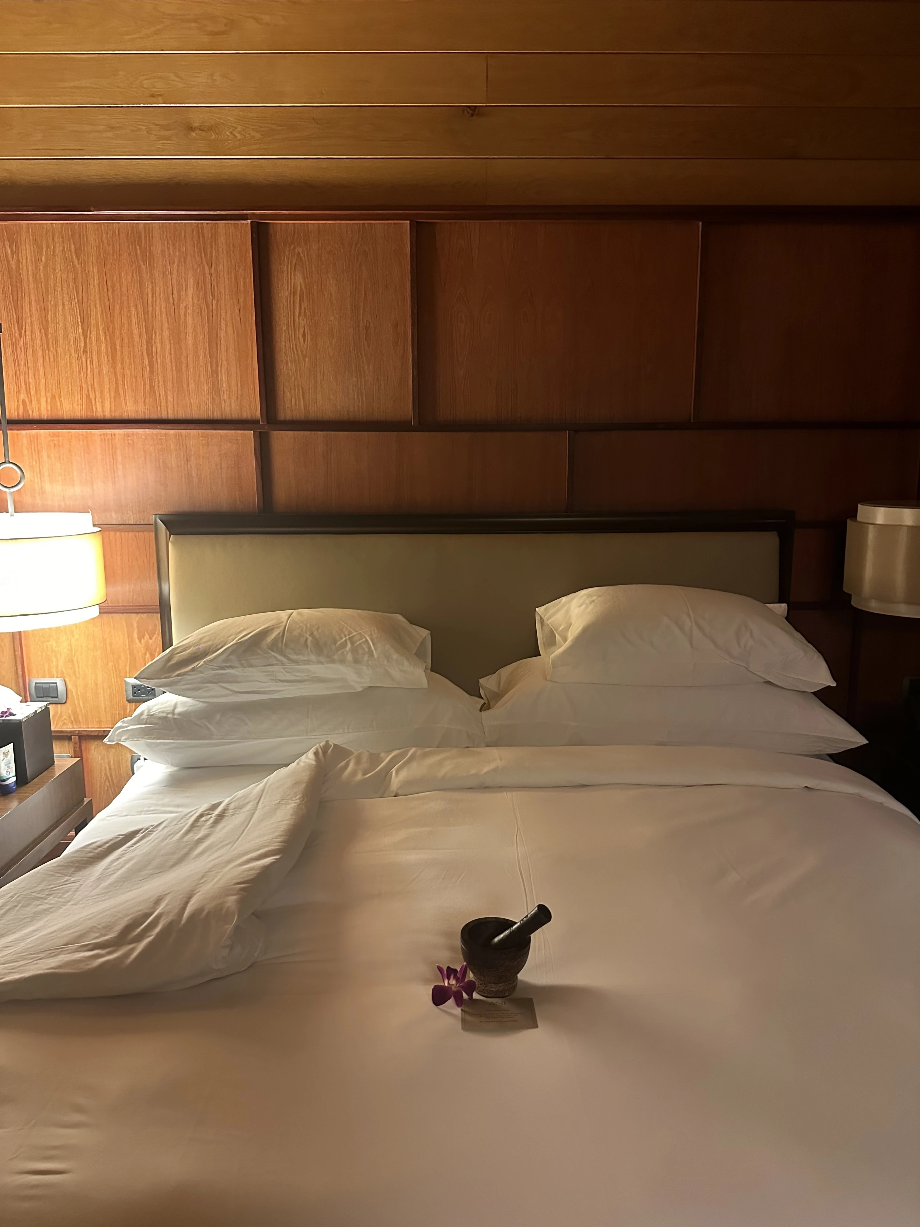 إحدى الغرف في منتجعات ANI