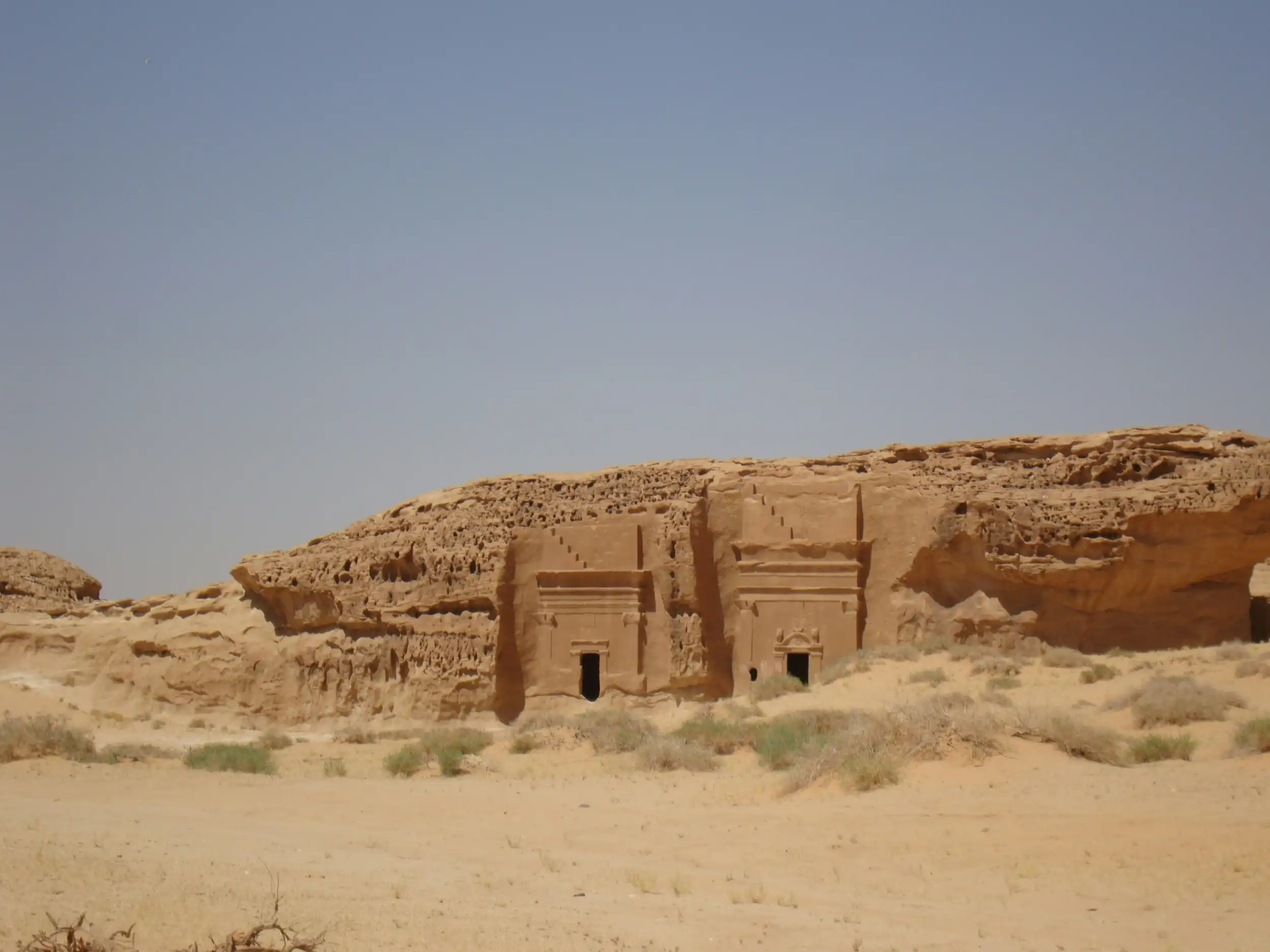 مصدر الصورة: Unsplash