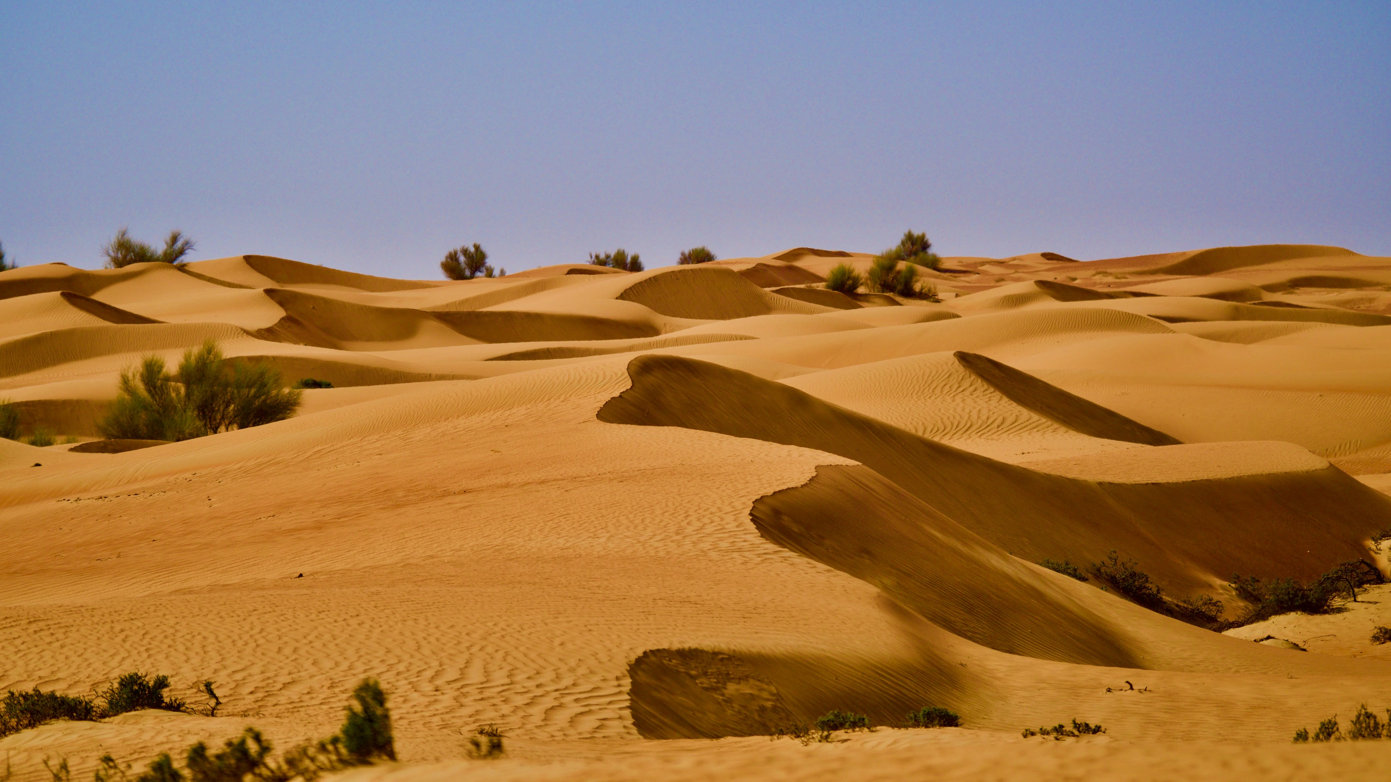 مصدر الصورة: Unsplash