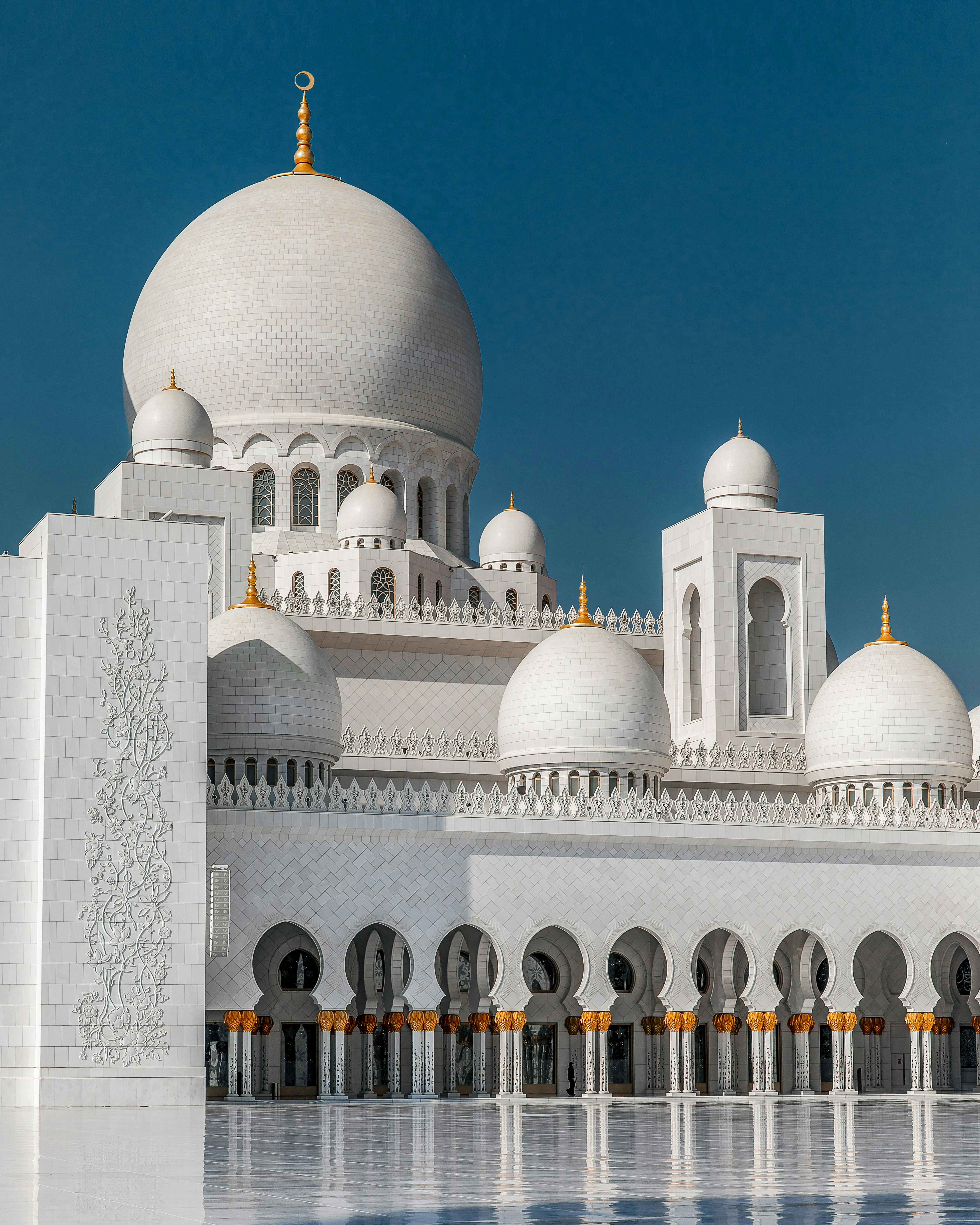 مصدر الصورة: Unsplash 