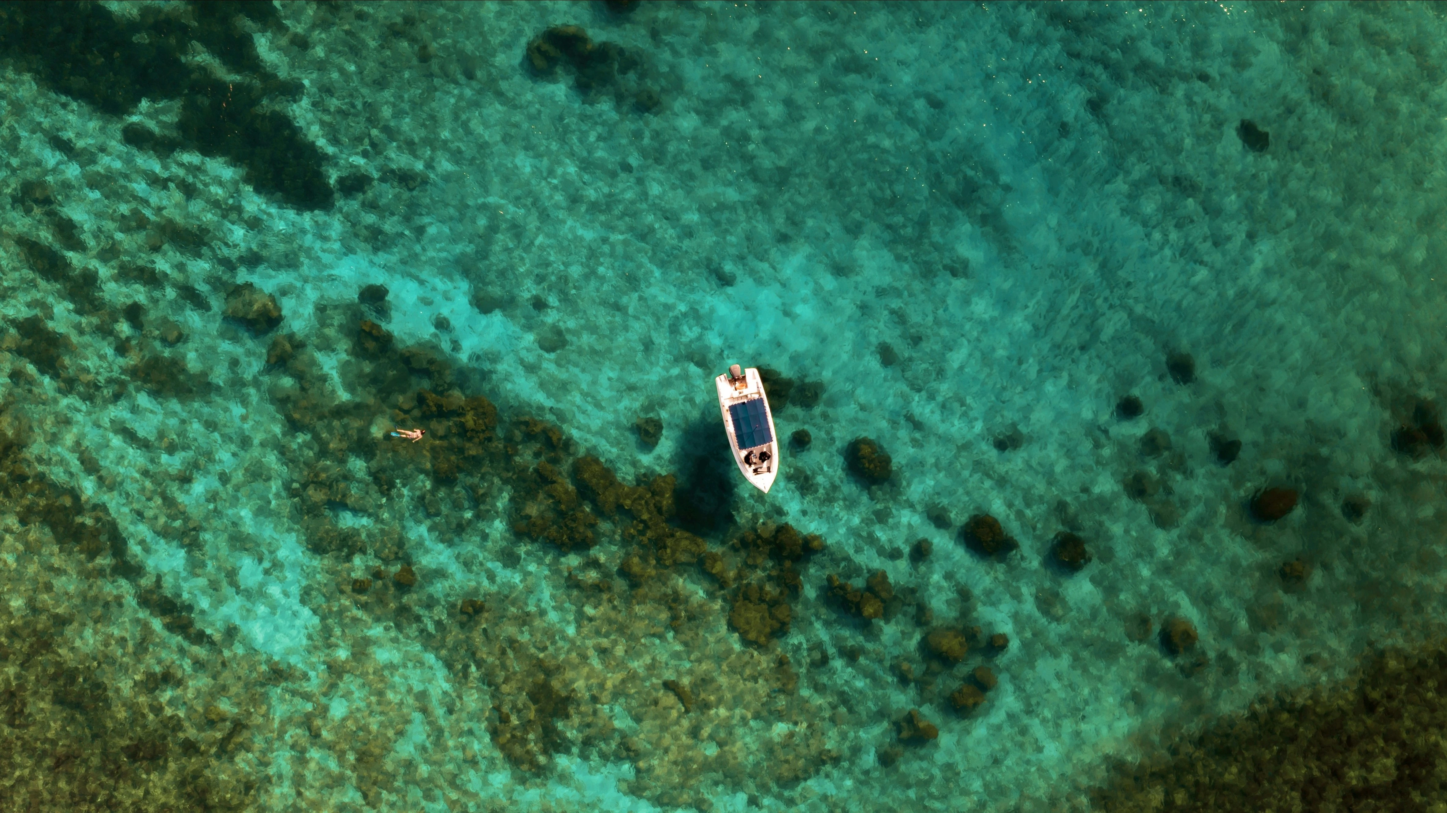  مصدر الصورة: Unsplash