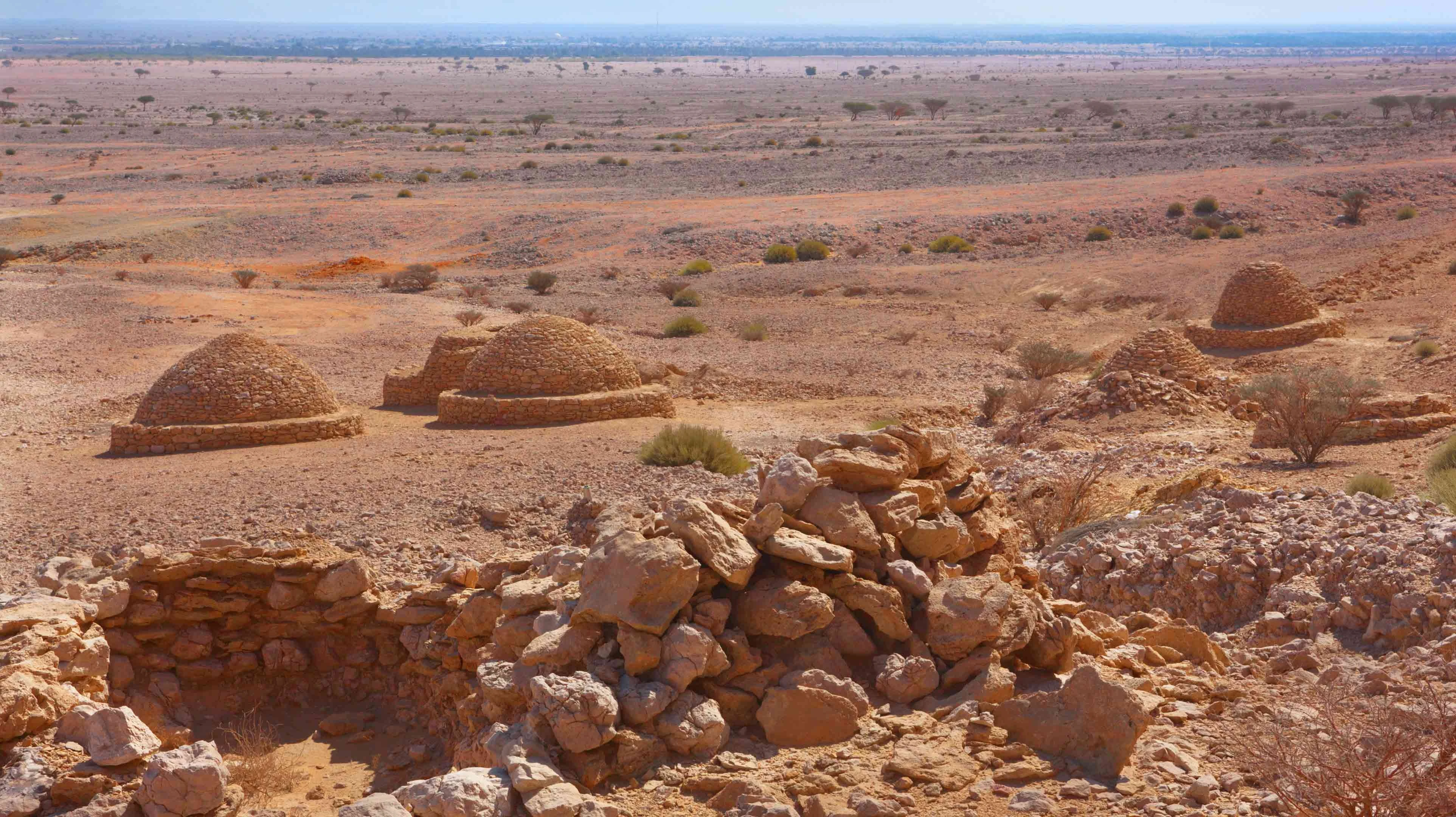 مصدر الصورة: موقع Visit Abu Dhabi