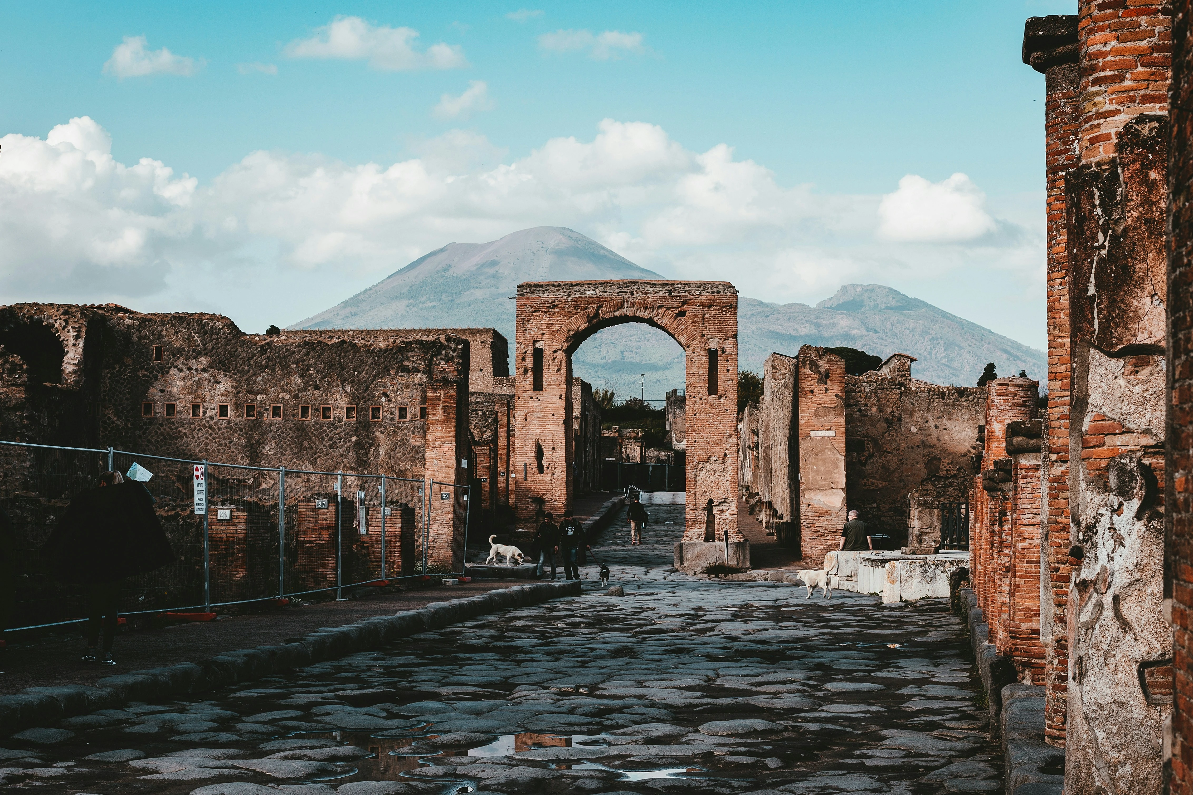بومبي. مصدر الصورة: Unsplash