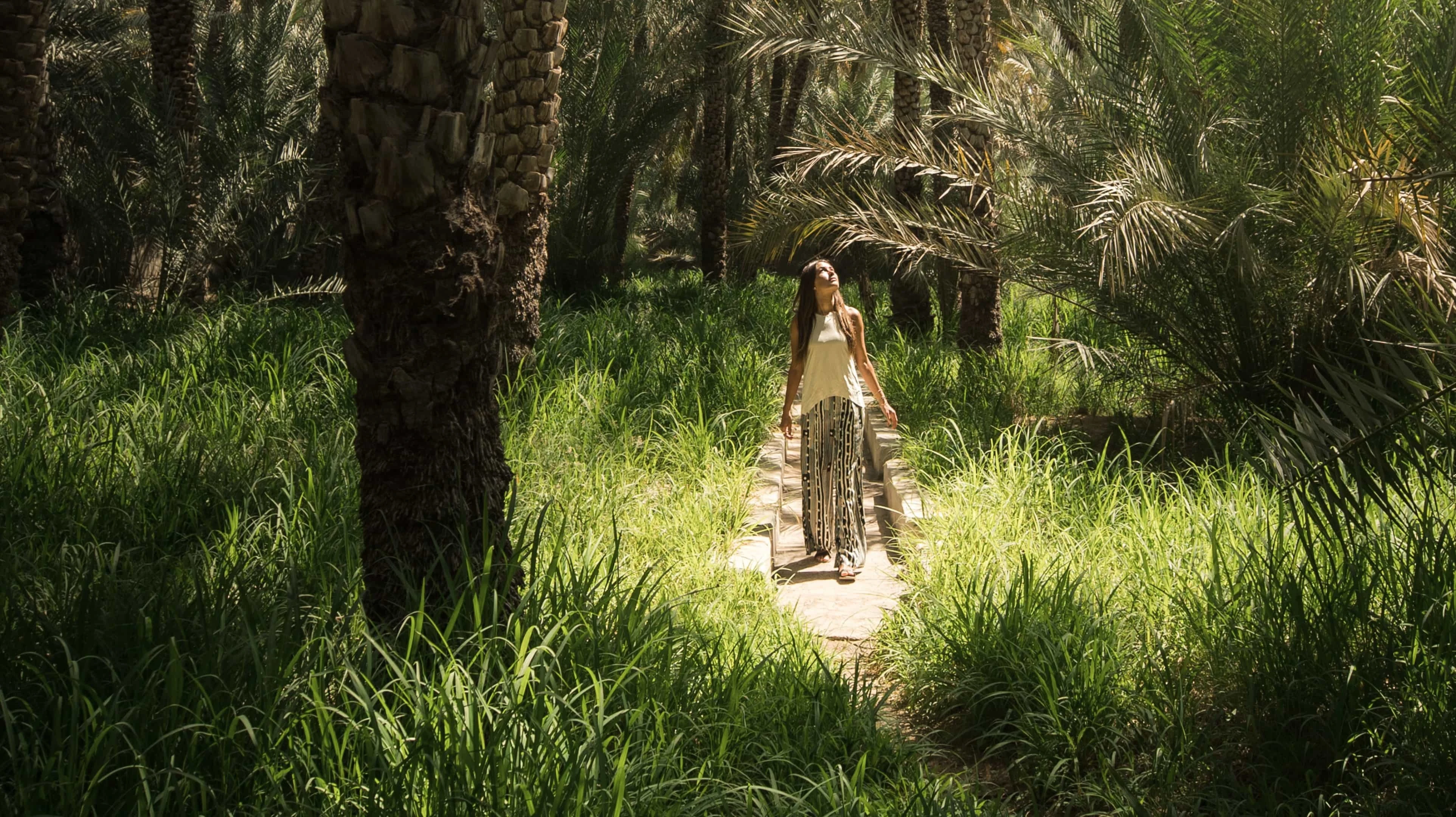 مصدر الصورة: موقع Visit Abu Dhabi