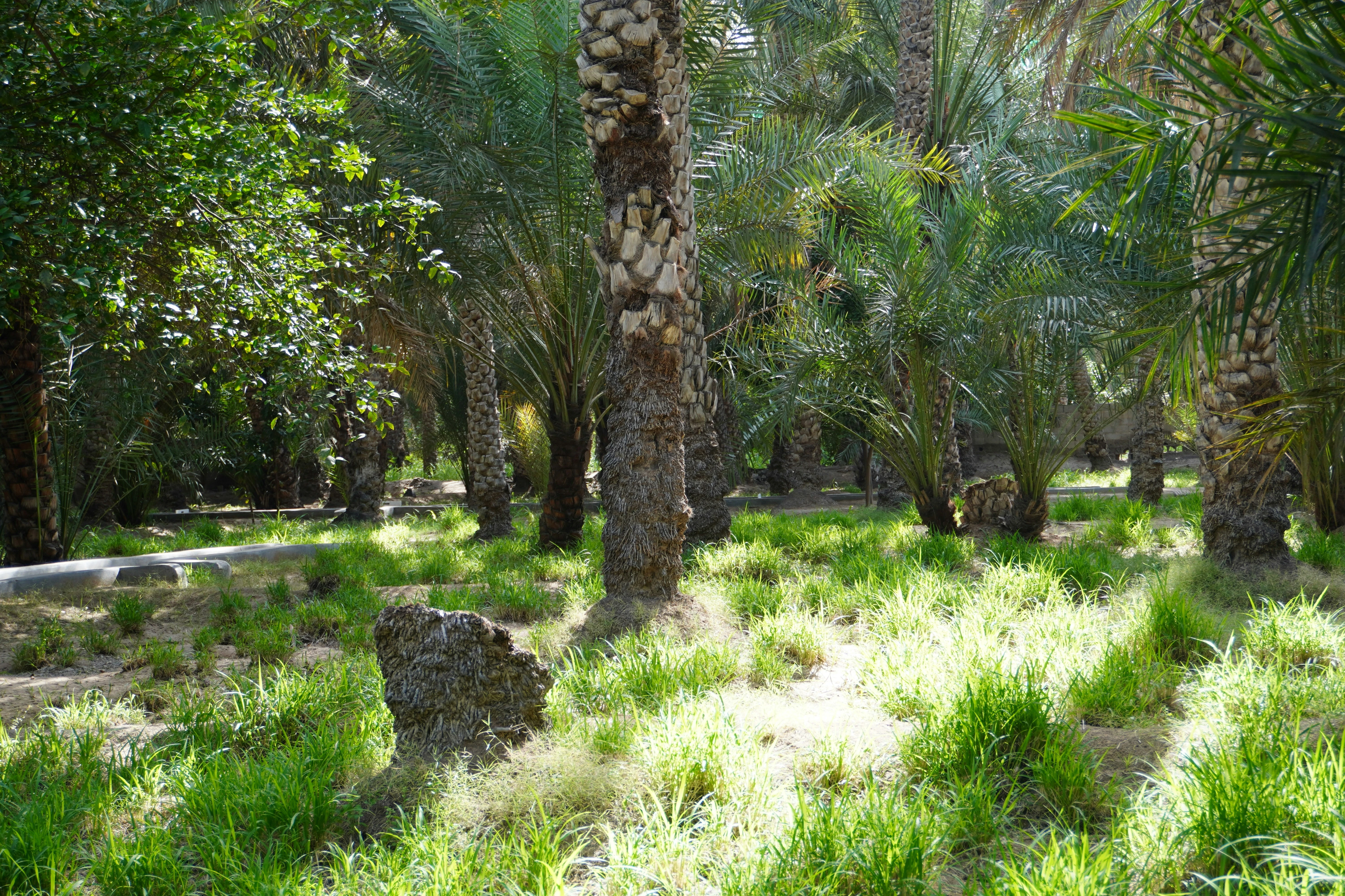  مصدر الصورة: Unsplash