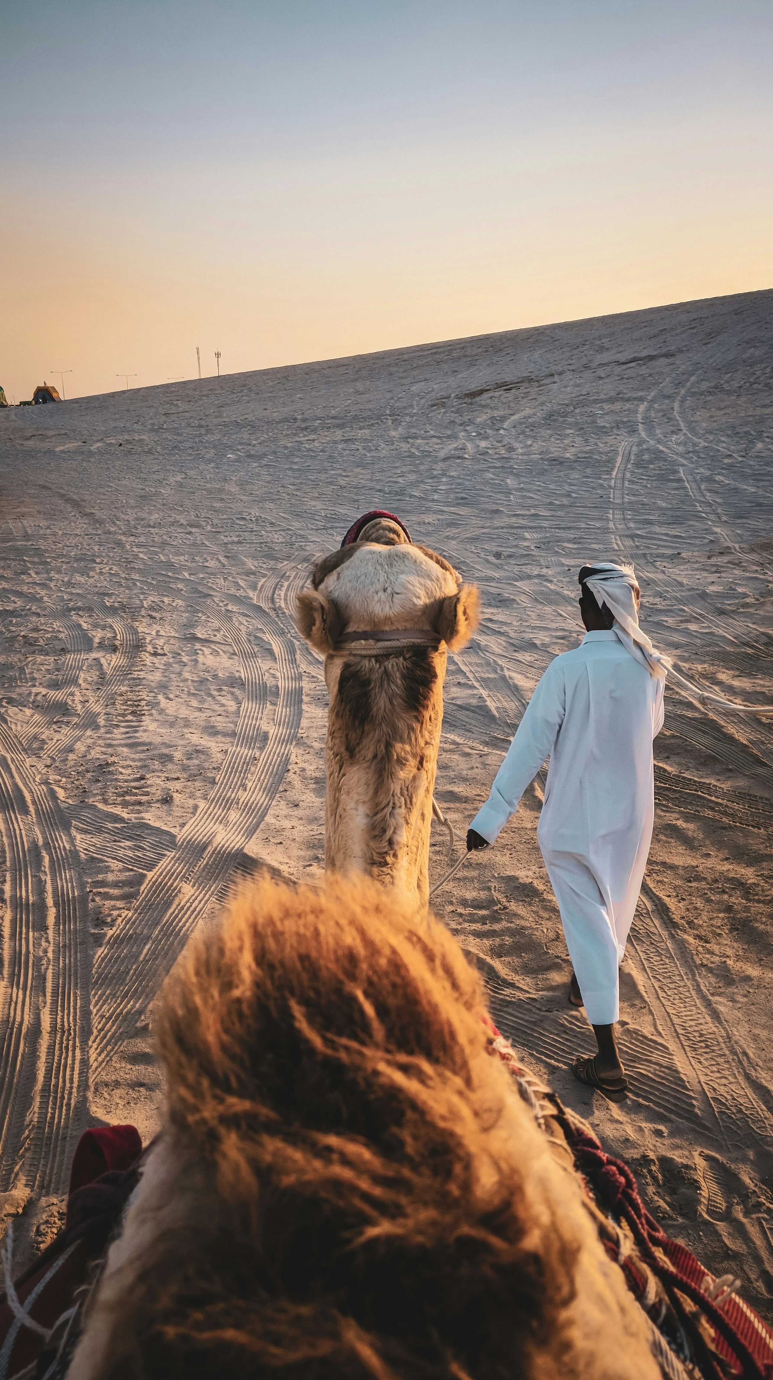 مصدر الصورة: Unsplash