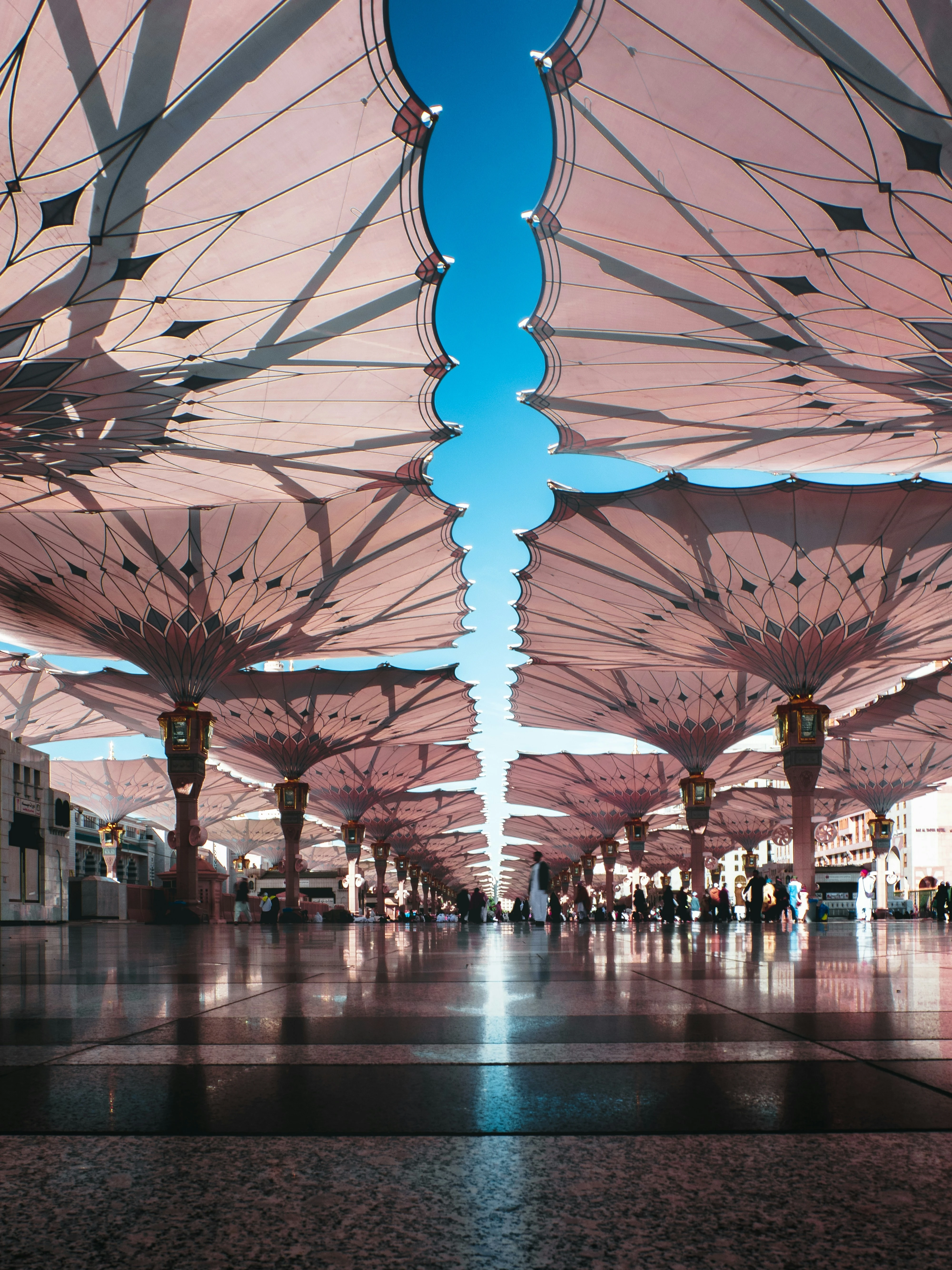 مصدر الصورة: Unsplash