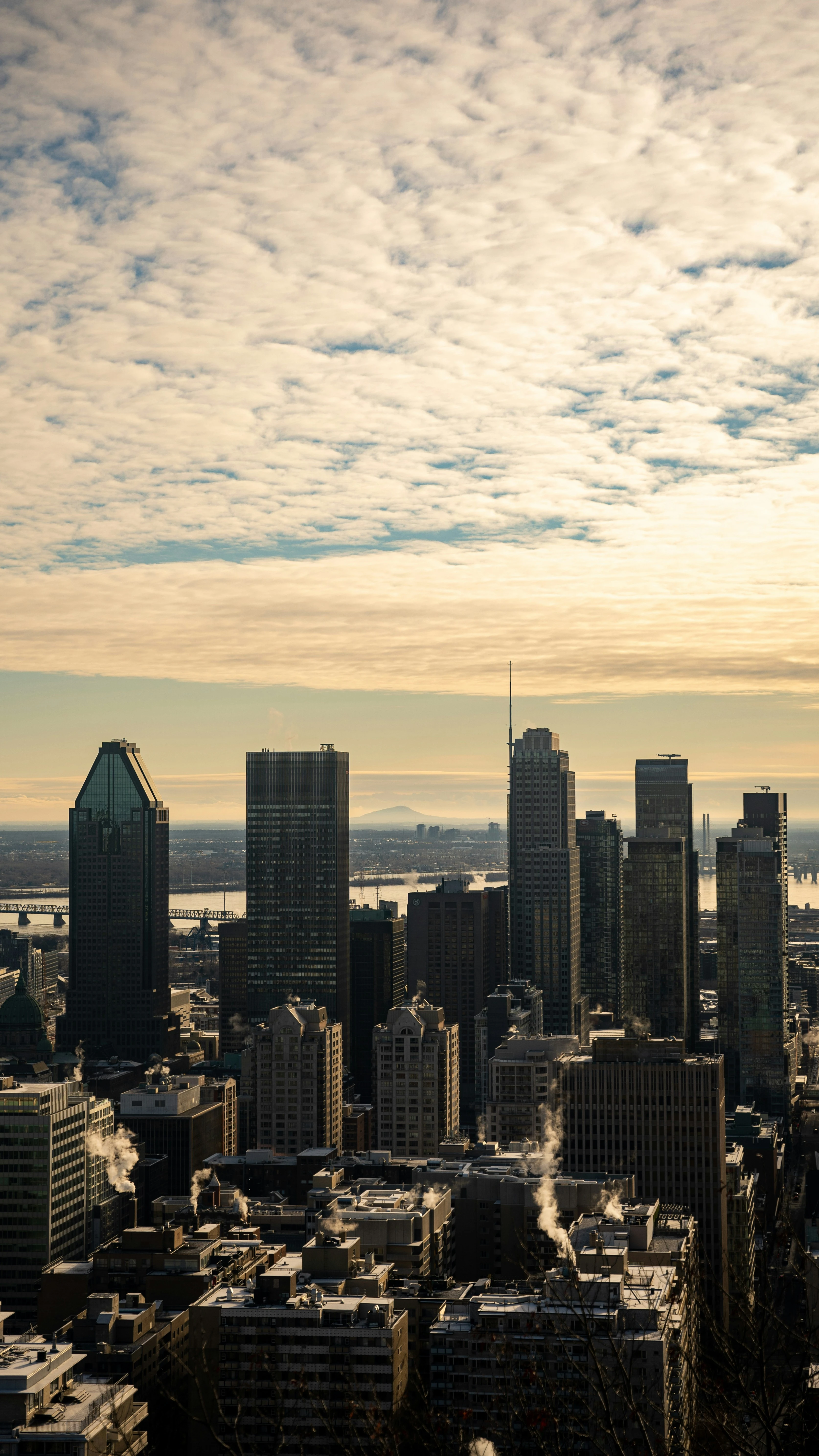 مصدر الصورة: Unsplash