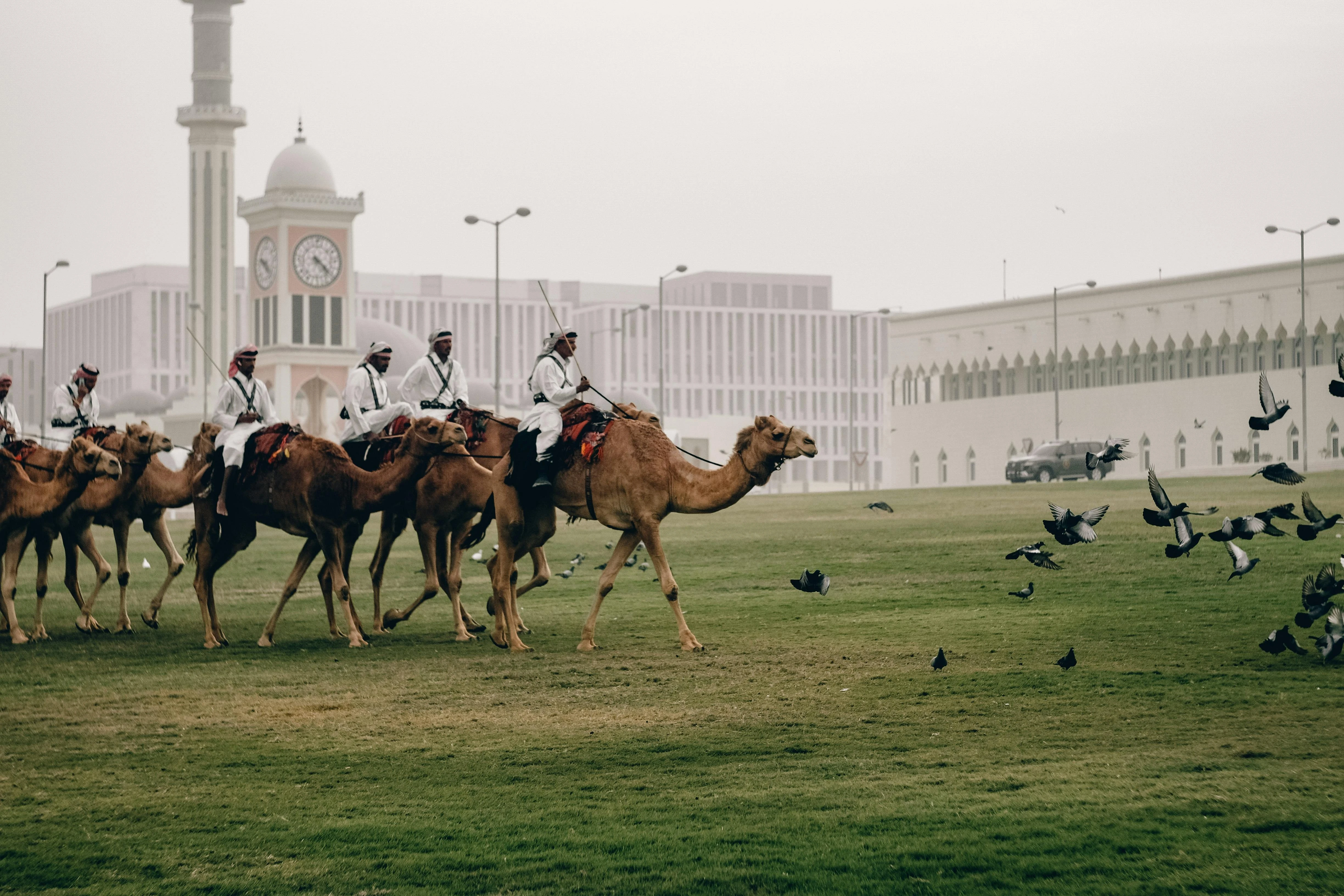 المصدر: Pexels