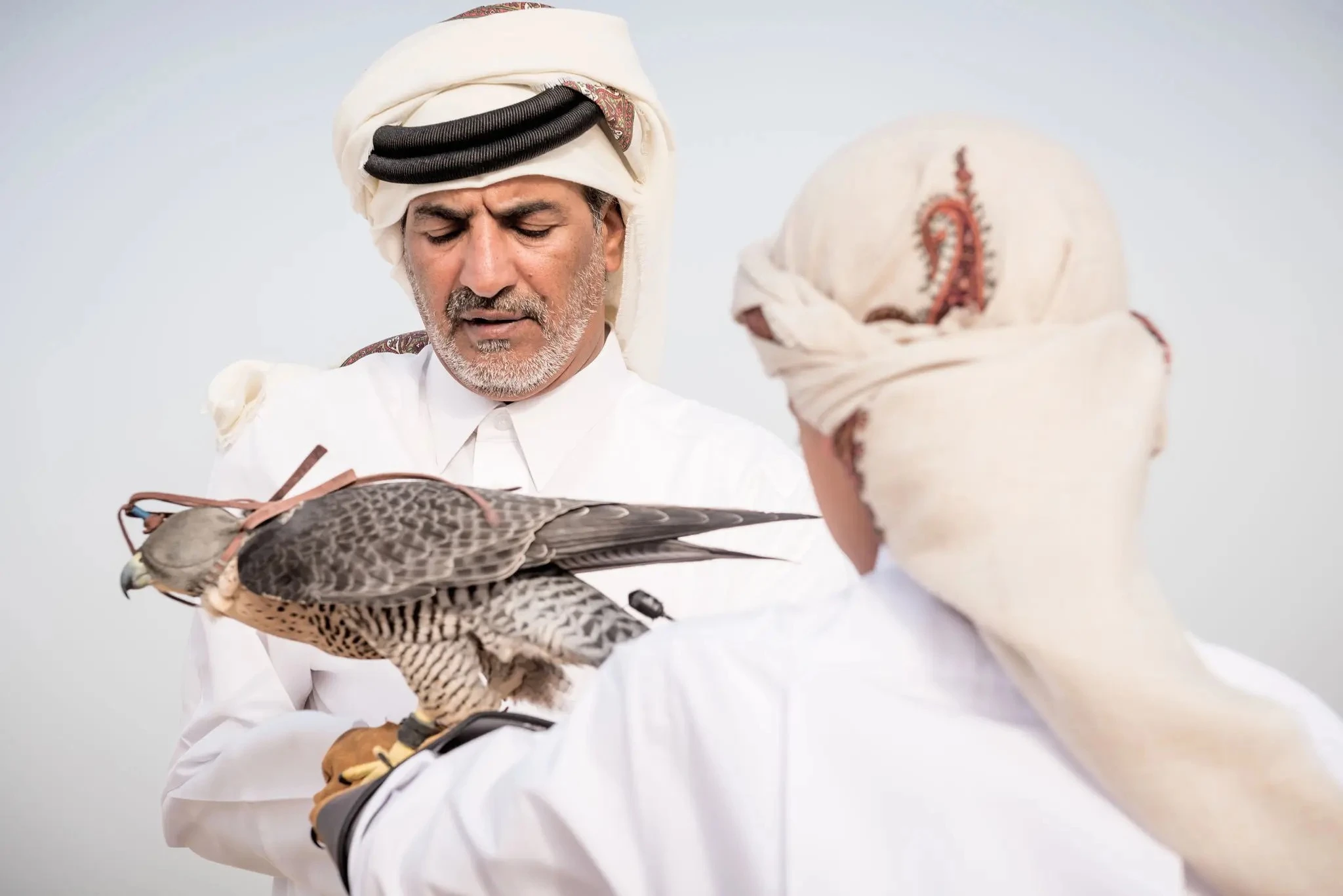  المصدر: موقع Visit Qatar