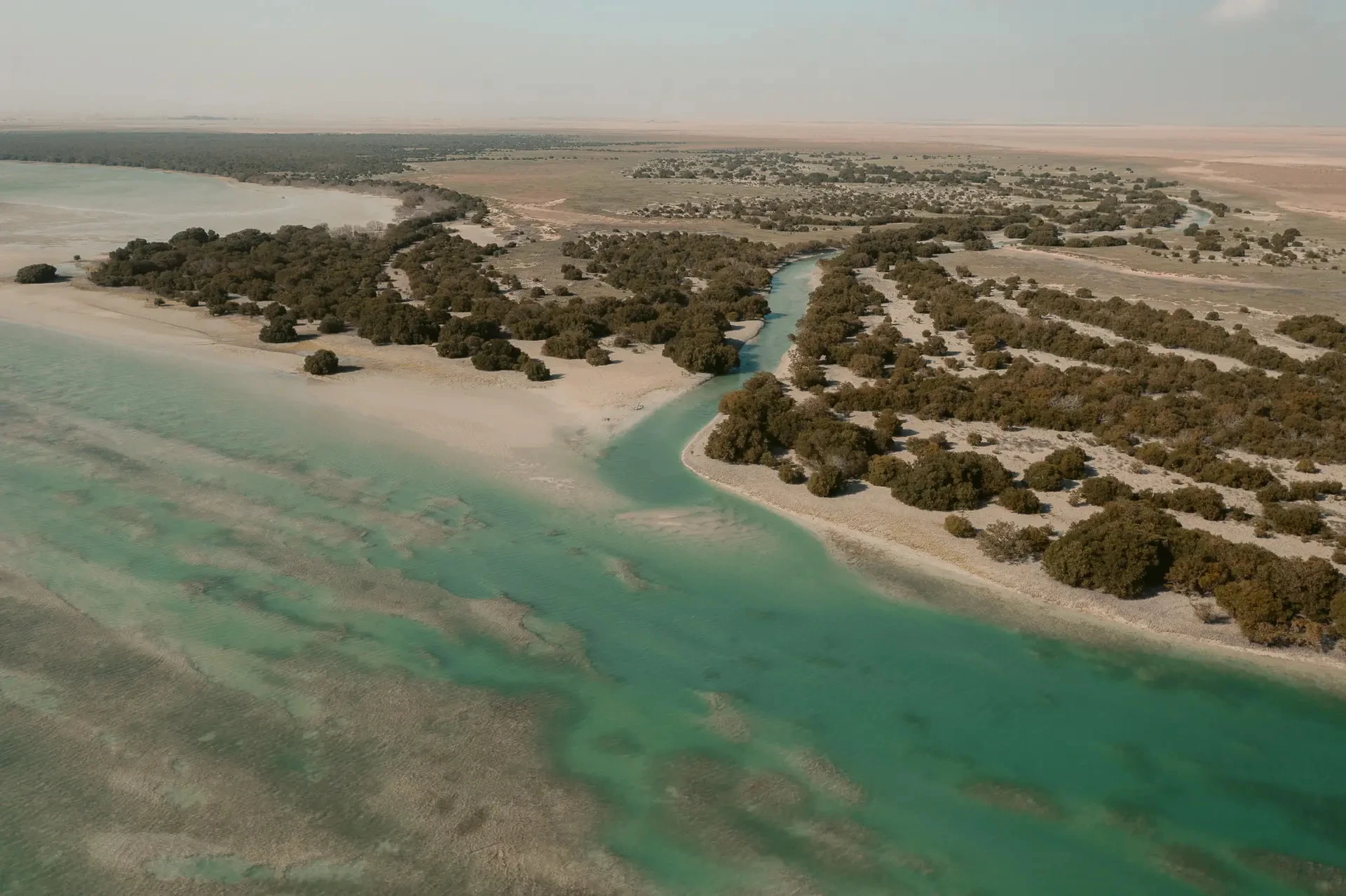  المصدر: موقع Visit Qatar