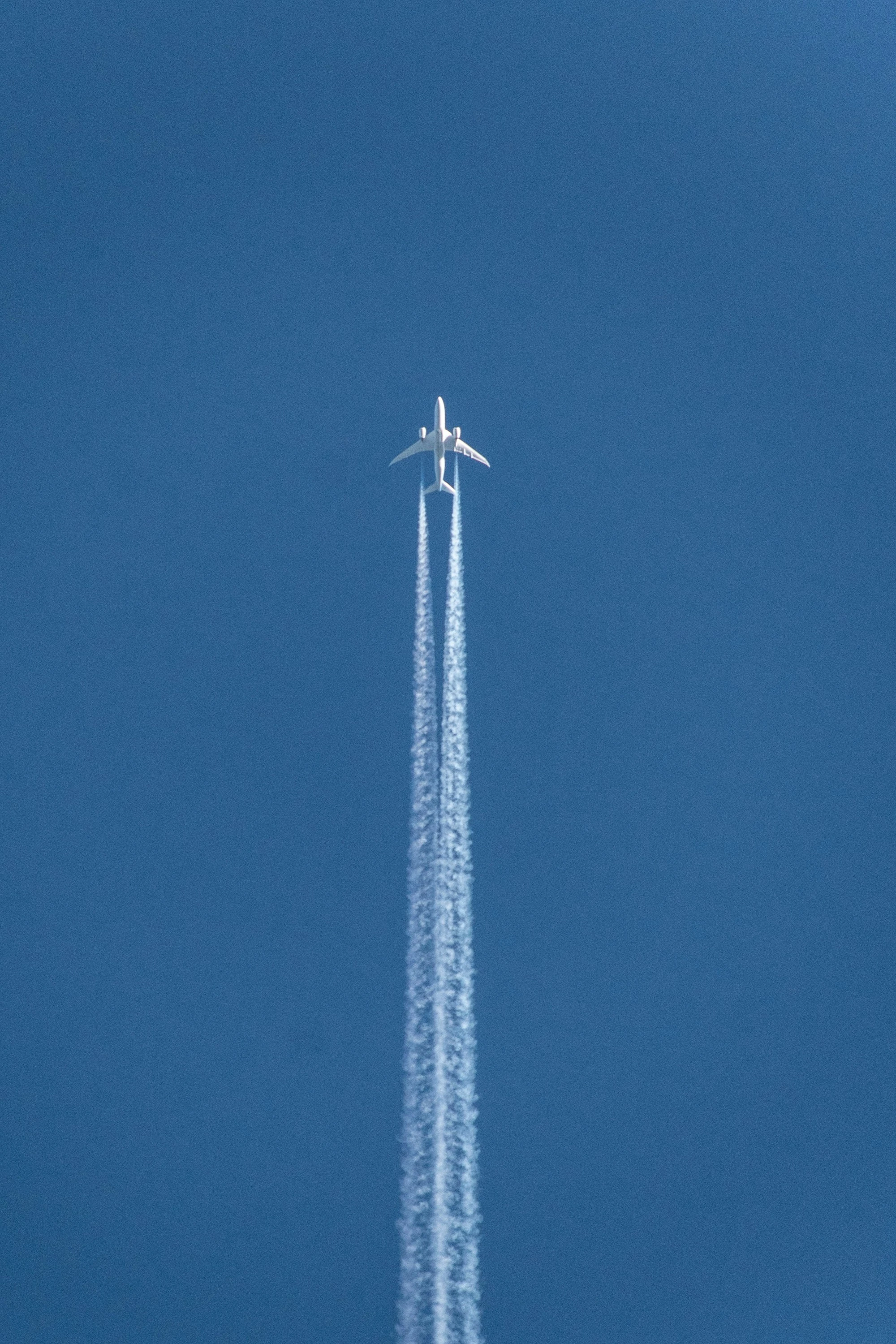 المصدر: Unsplash
