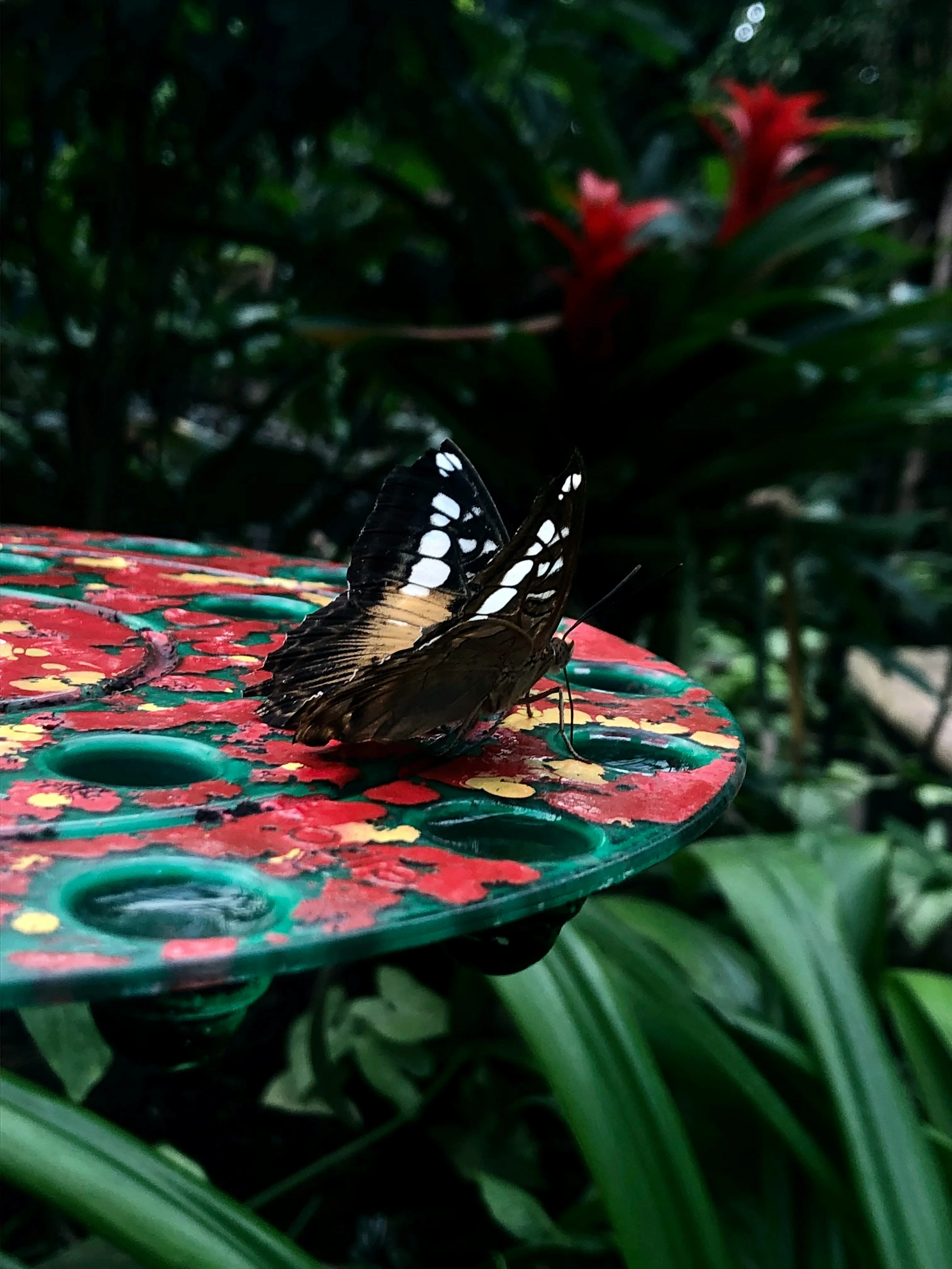  المصدر: Unsplash