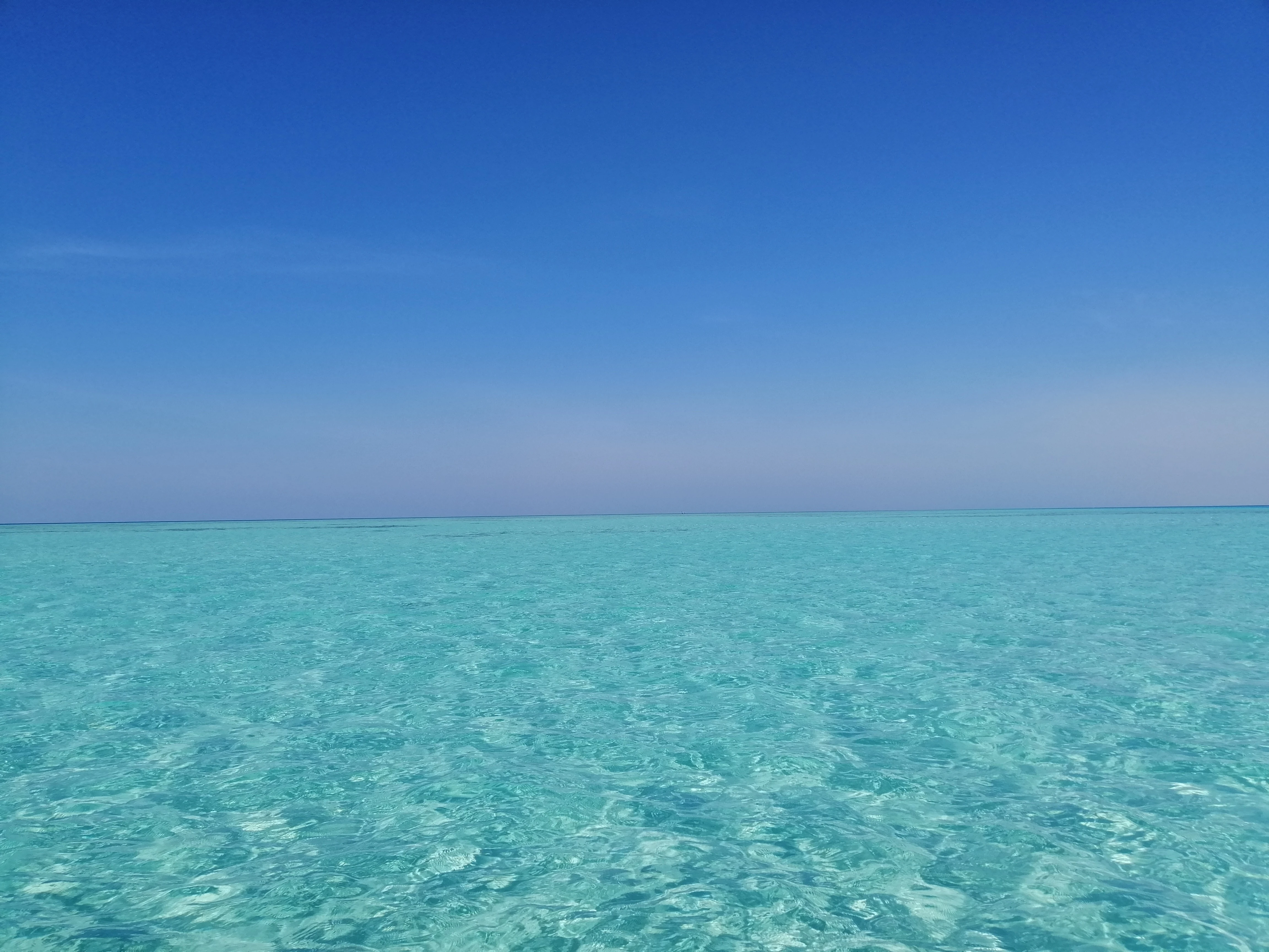  أملج، مالديف السعودية 