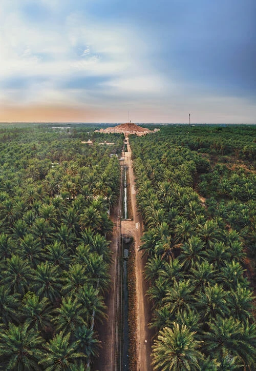 Al Ahsa Oasis