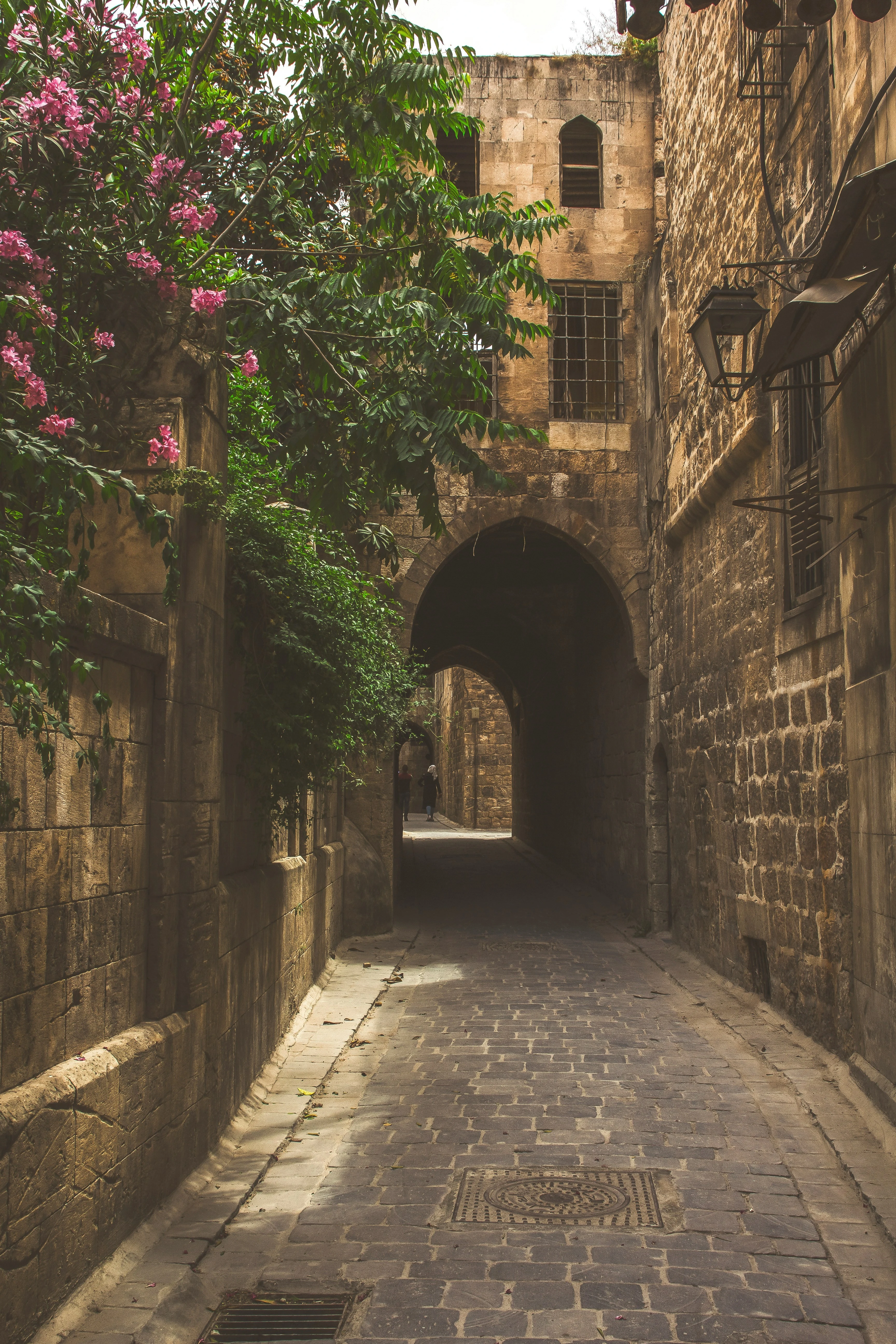 حلب. المصدر: Unsplash