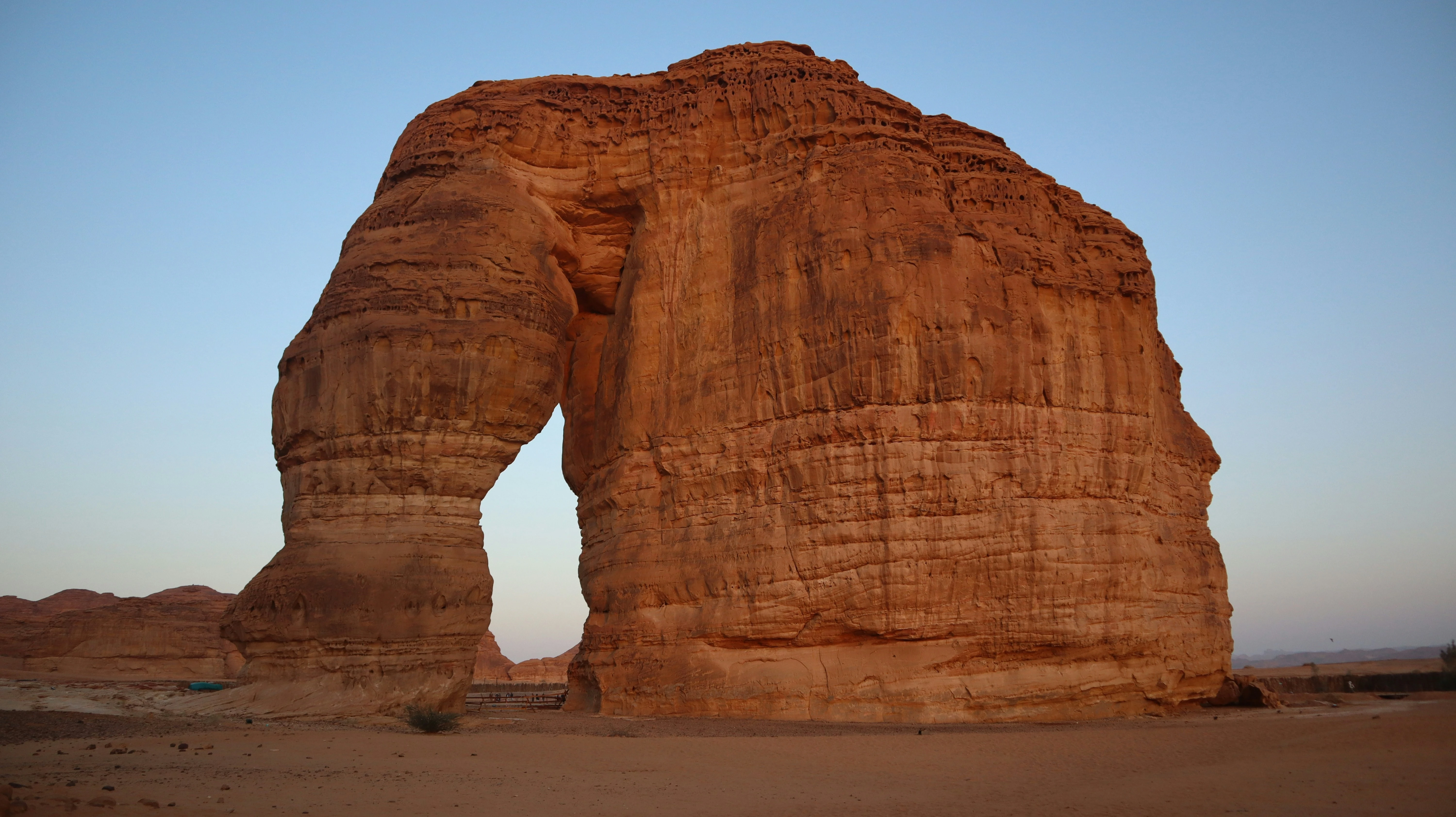المصدر: Unsplash 