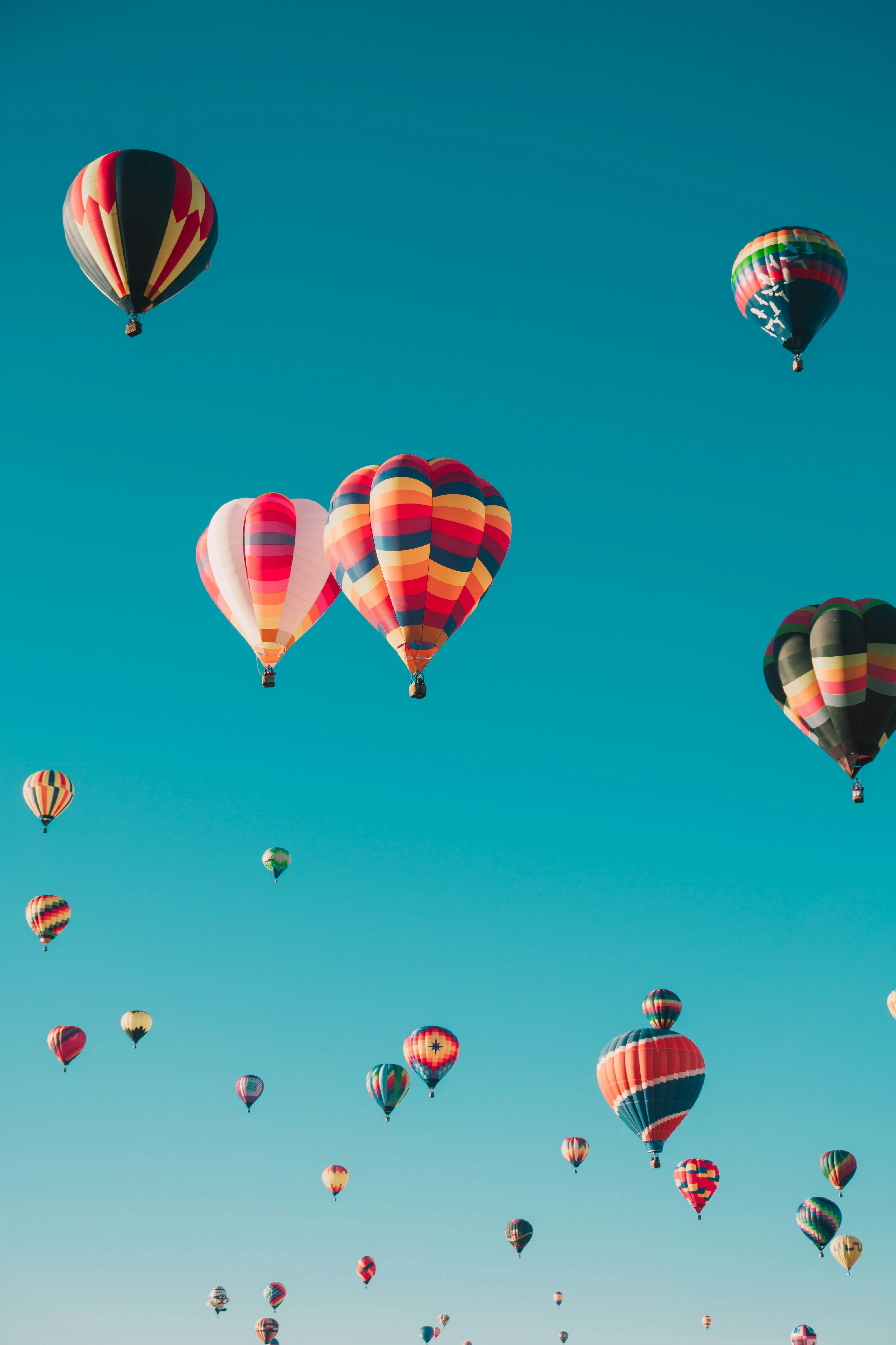  المصدر: Unsplash 