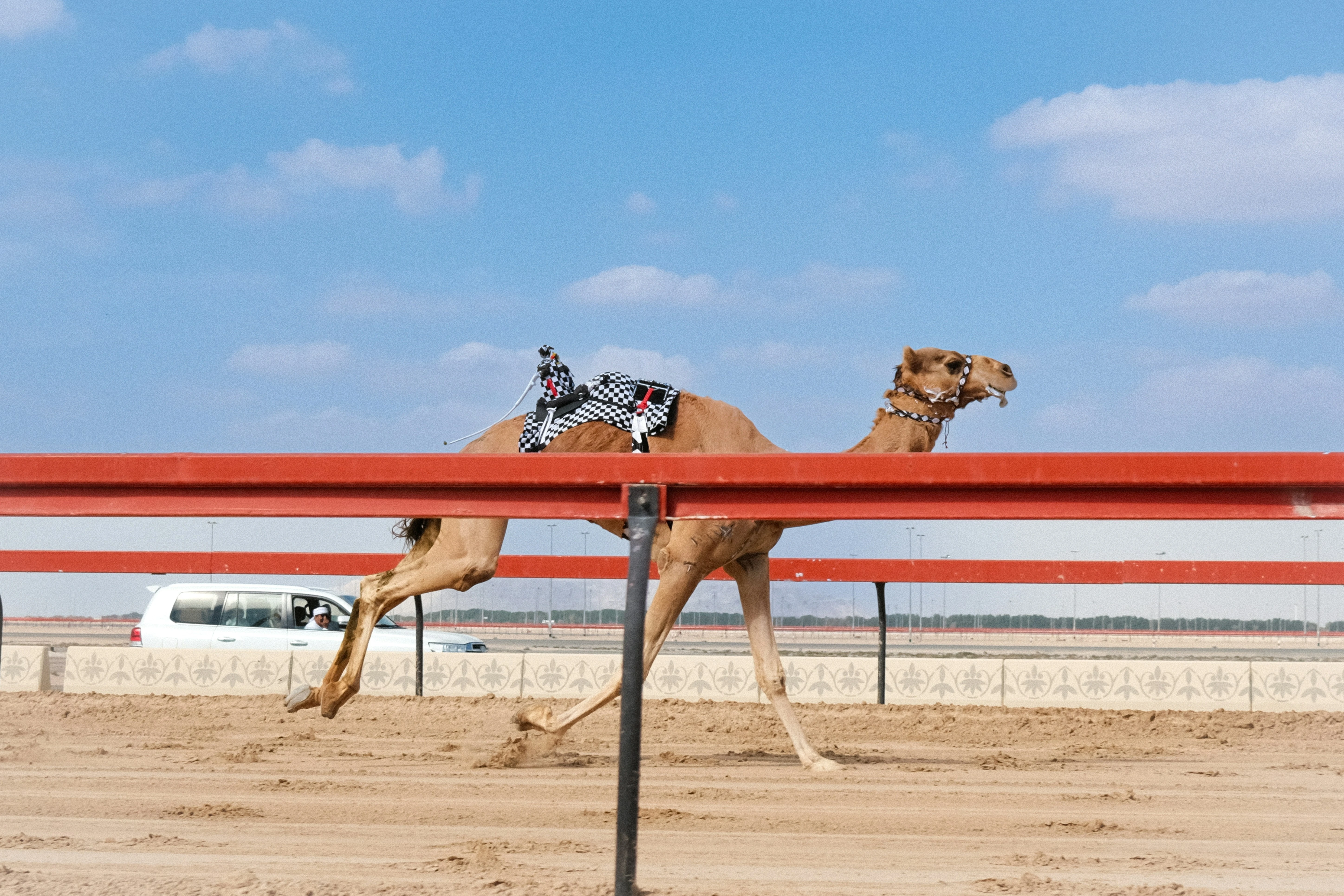 المصدر: Unsplash