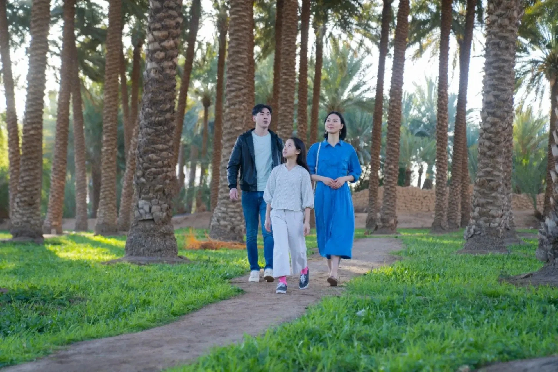 Explore Greenland Park in Tabuk City